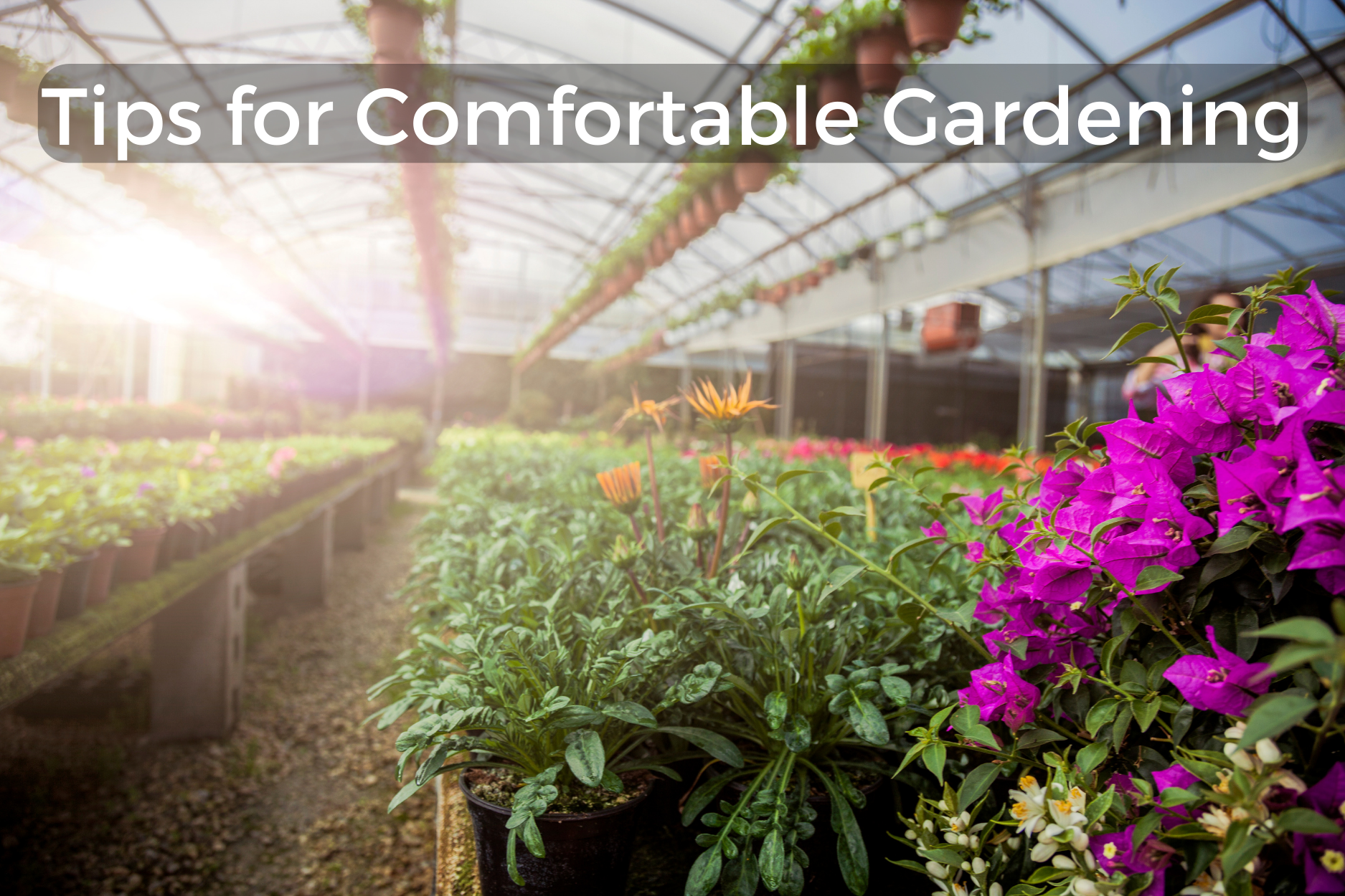 Ergonomic Greenhouse Table Height: Tips for Comfortable Gardening