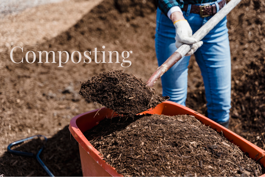 Ultimate Guide to Composting: Common Mistakes