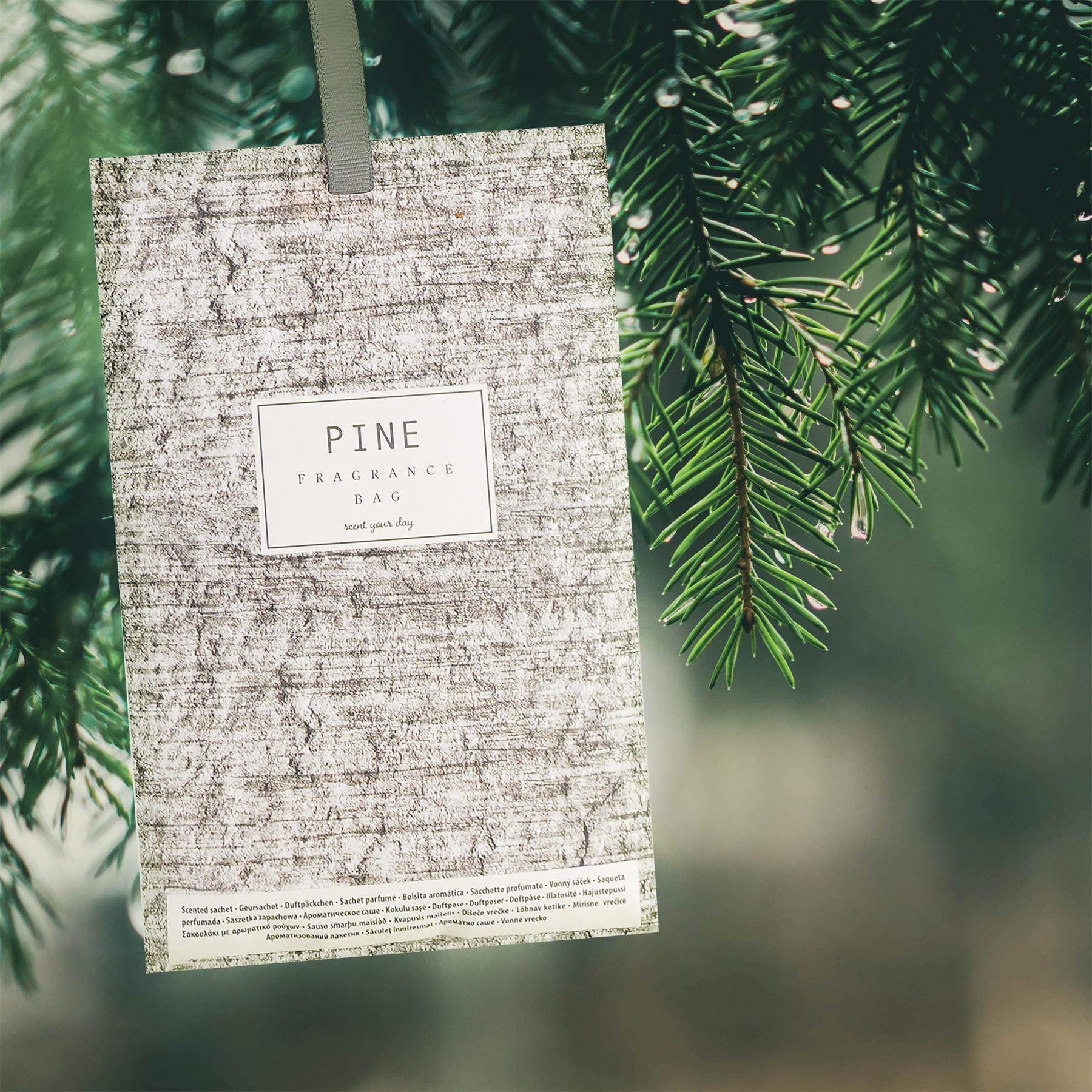 Scented Sachet - Pine and Cypress - Set of 12 by GEEZY - The Magic Toy Shop