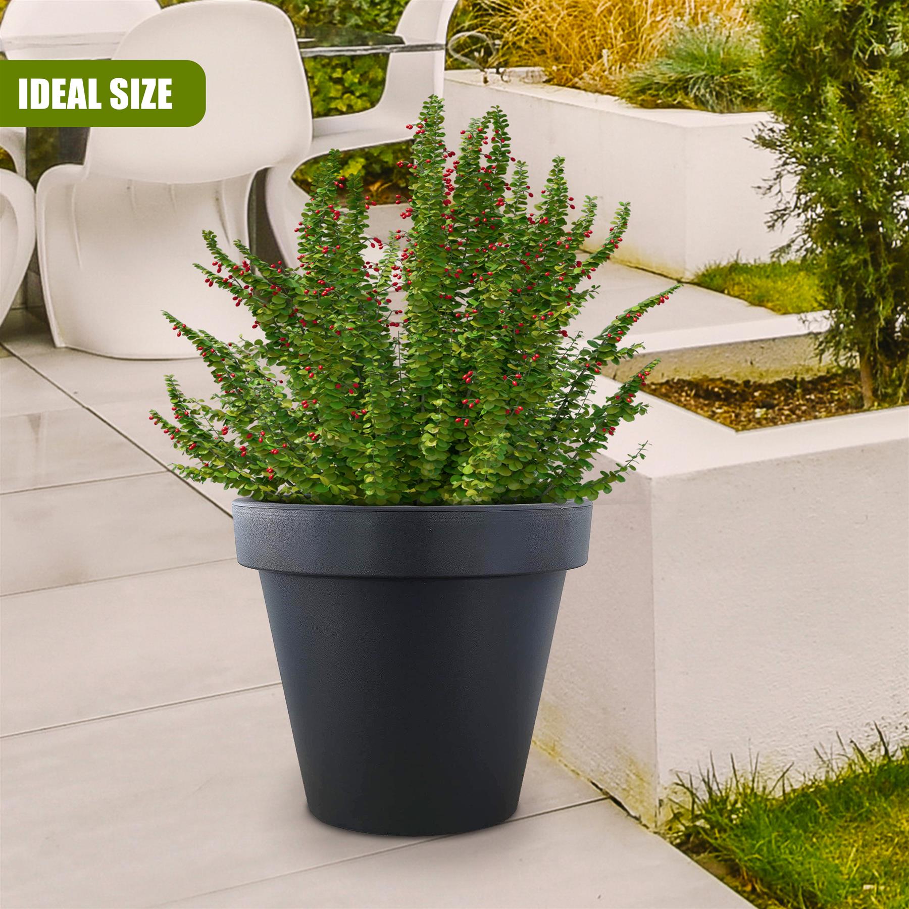 A large, dark gray planter with a wide, rounded base and a flared, tapering top. It is filled with a lush, green plant with small, red berries, growing in a compact, compacted, and bushy shape. The plant is surrounded by a white, outdoor, modern, and minimalist seating area with white, modern, and minimalist chairs, a glass table, and a few plants. The background is a modern, white, and minimalist outdoor space with a few plants and a white, modern, and minimalist wall. - The Magic Toy Shop