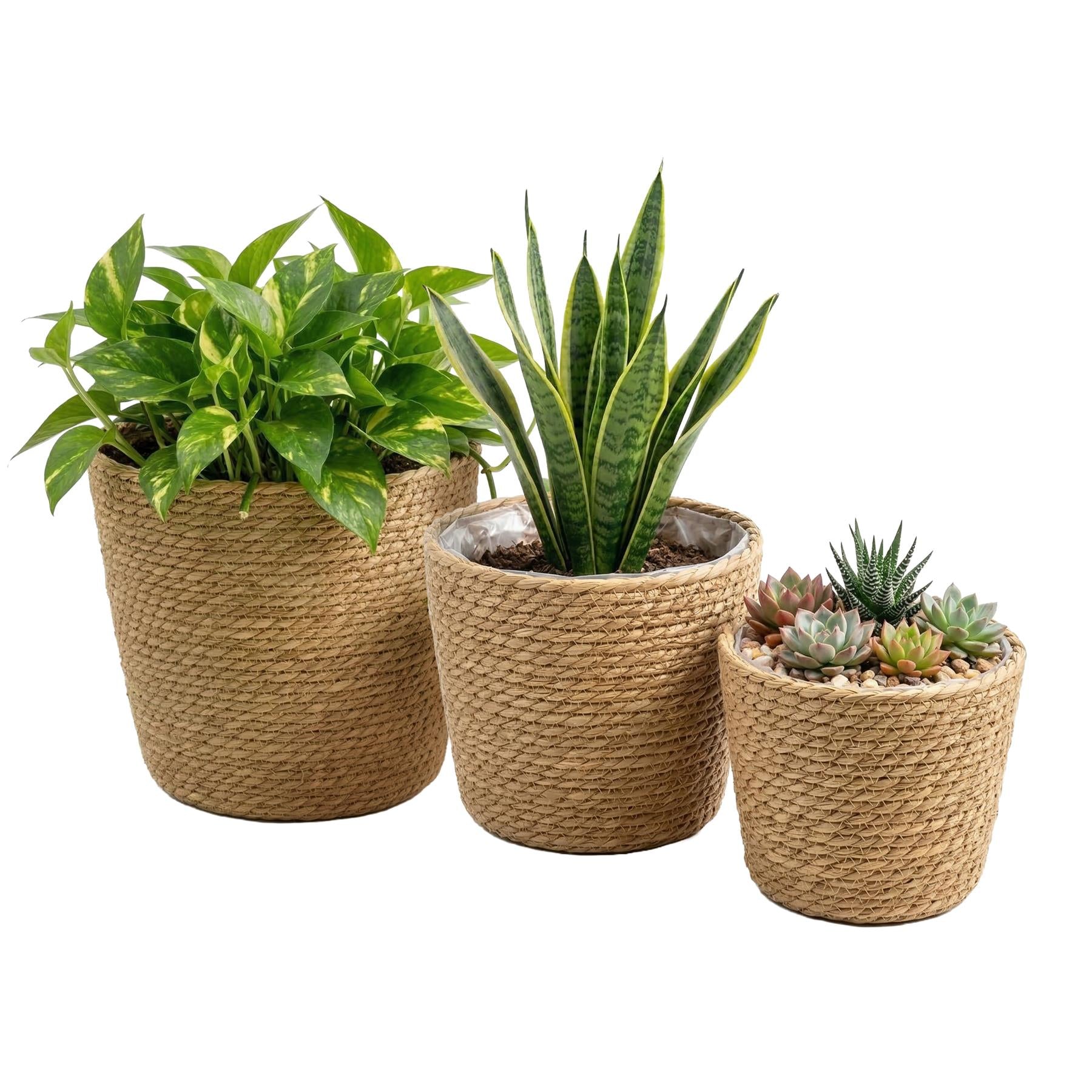 wicker plant stands indoor uk Set of 3 Wicker Planters