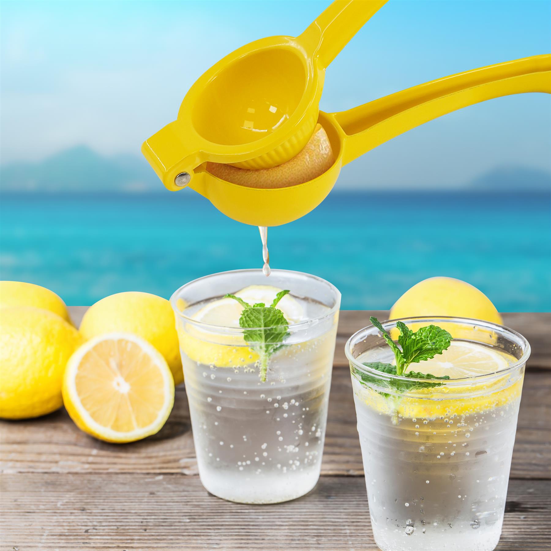 Metal Lemon Squeezer by GEEZY - The Magic Toy Shop