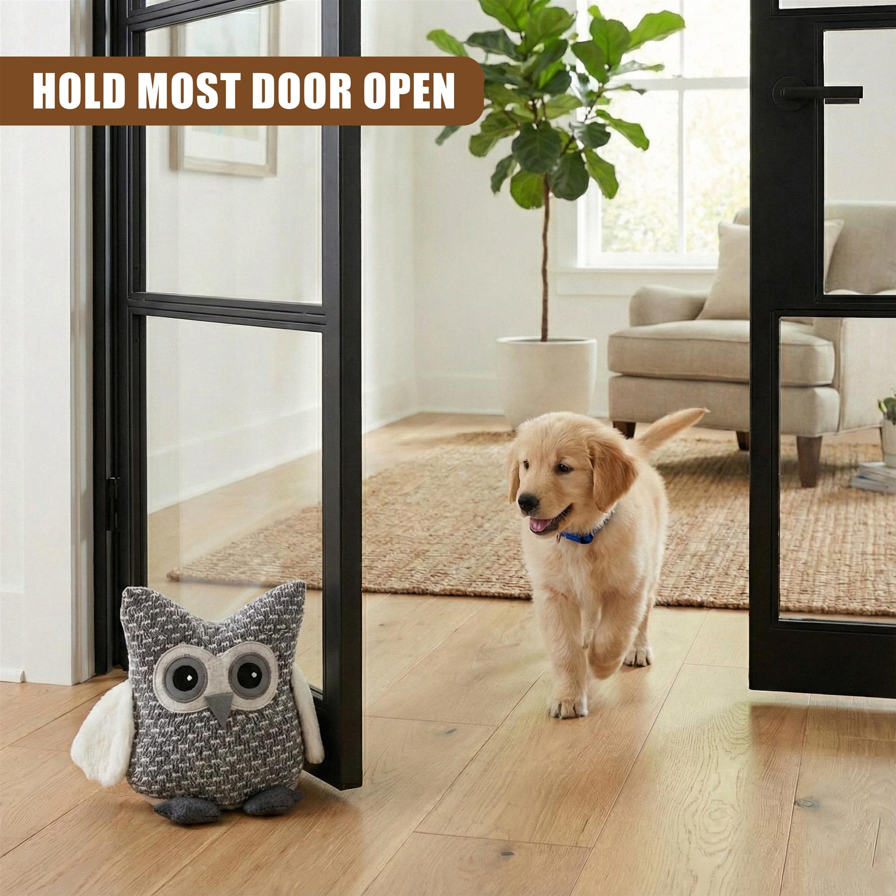 A dog, a golden retriee, is seen running towards a door, with a plush toy, an owl, sitting on the floor. The door is slightly open, and a brown sign with white text, "HOLD MOST DOOR OPEN", is seen above it. The room is bright and well-lit, with a rug, a chair, and a plant in the background. The floor is made of wood, and there is a white wall to the left of the door. - The Magic Toy Shop