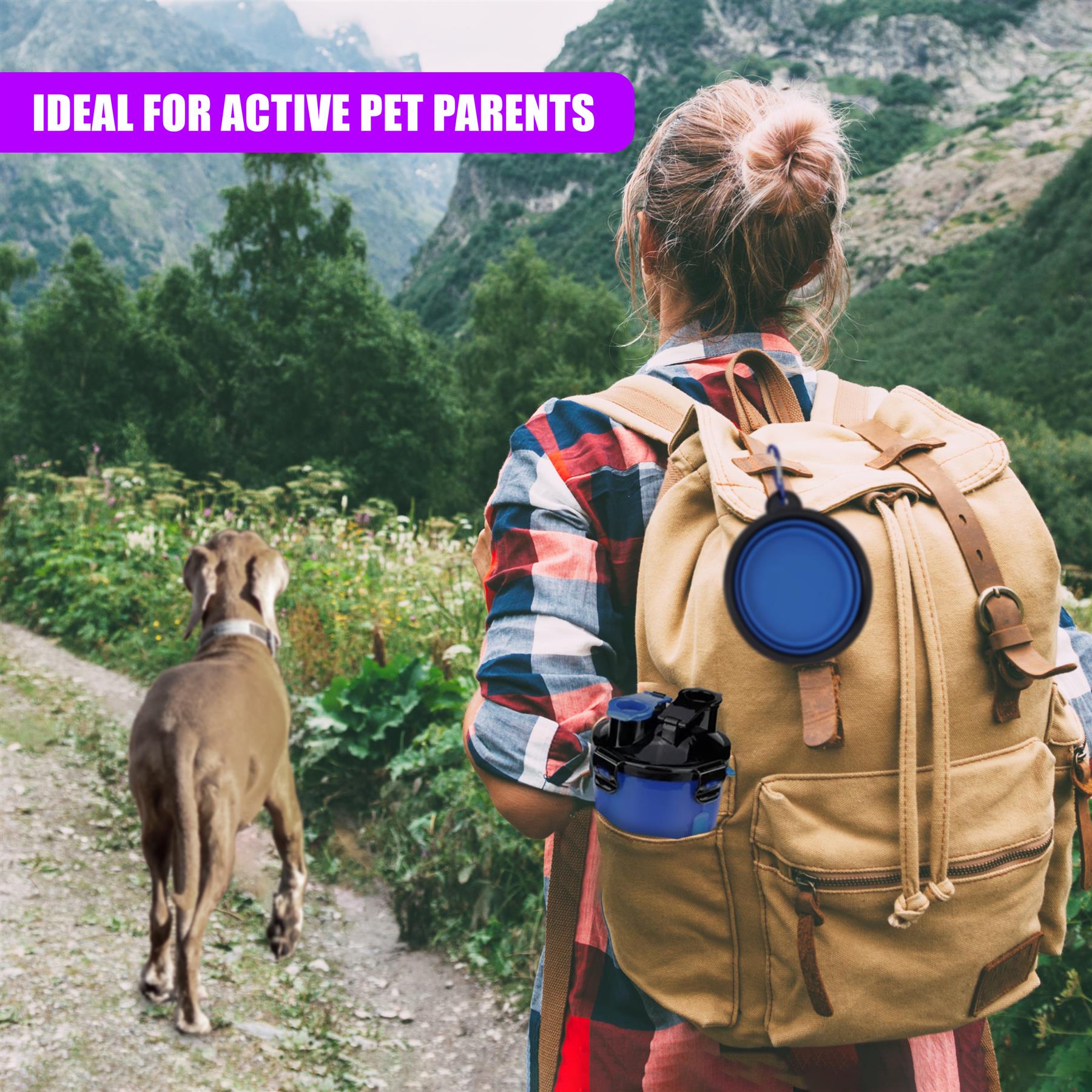 Foldable Bowl and Water Bottle Set for Pets by Geezy - The Magic Toy Shop