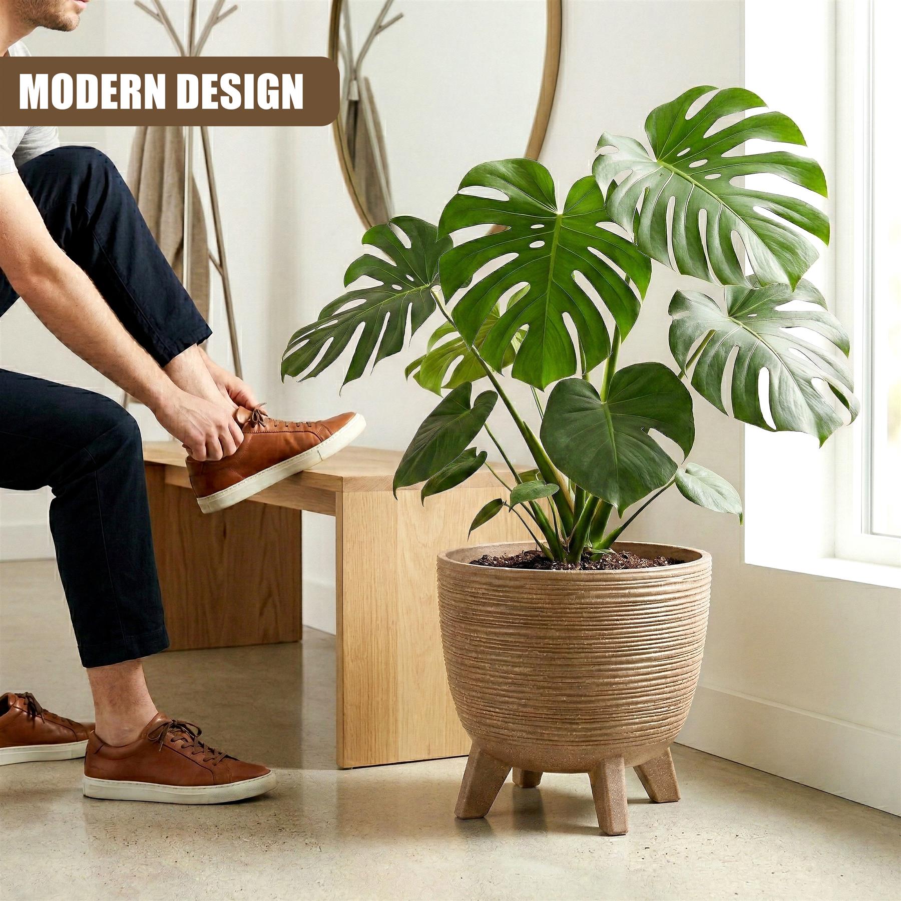 Brown pot with horizontal ribbing and three wooden legs displays a large green tropical houseplant.