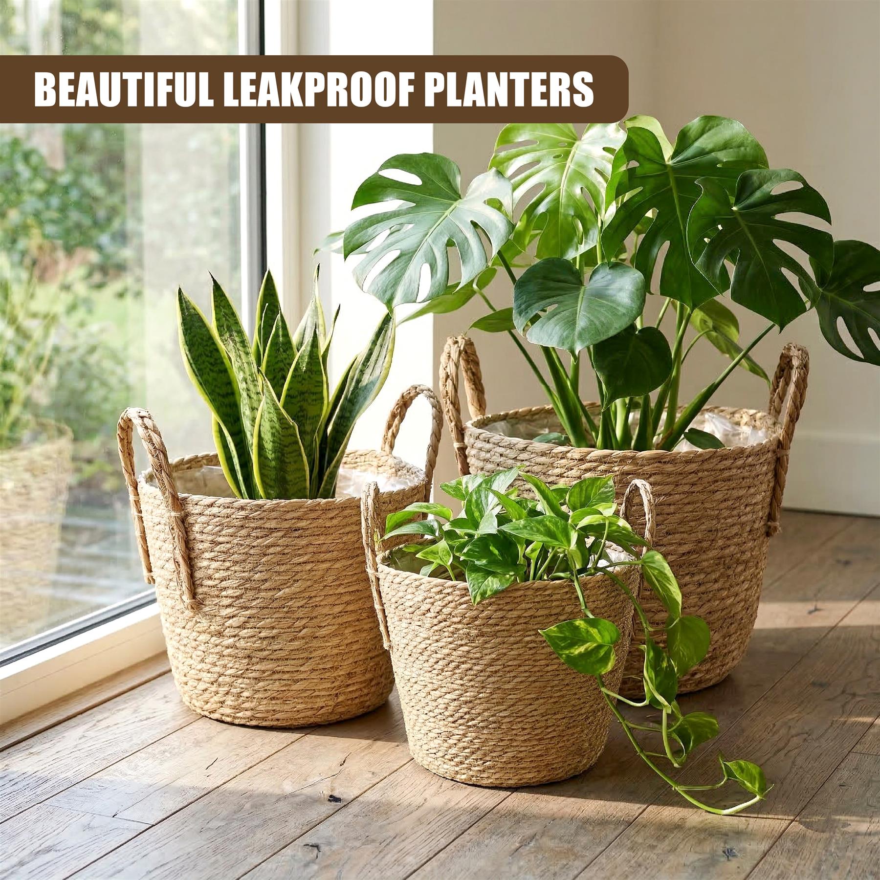 A set of three woven planters with handles, holding assorted green plants on a wooden floor surface.