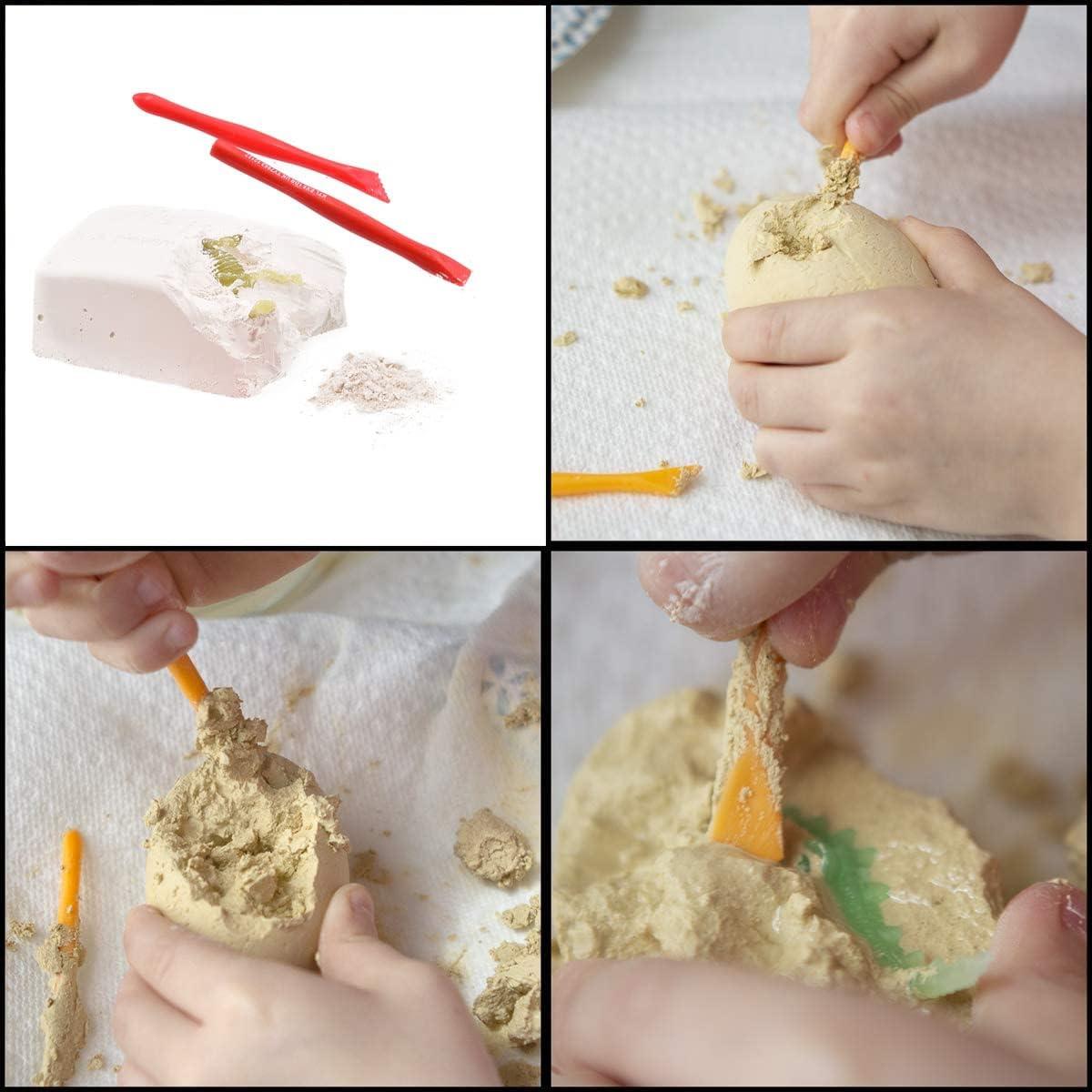 Dinosaur Fossil Digging Kit by The Magic Toy Shop - The Magic Toy Shop