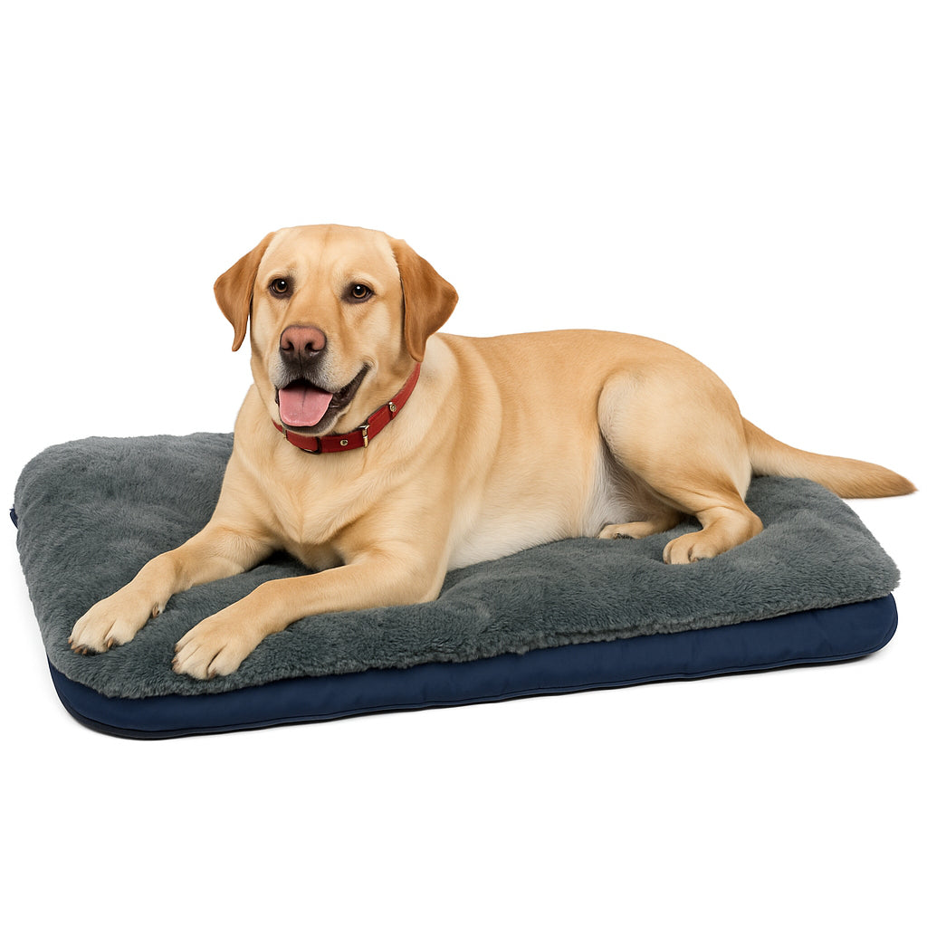 Pet Bed Indoor Outdoor 2-in-1