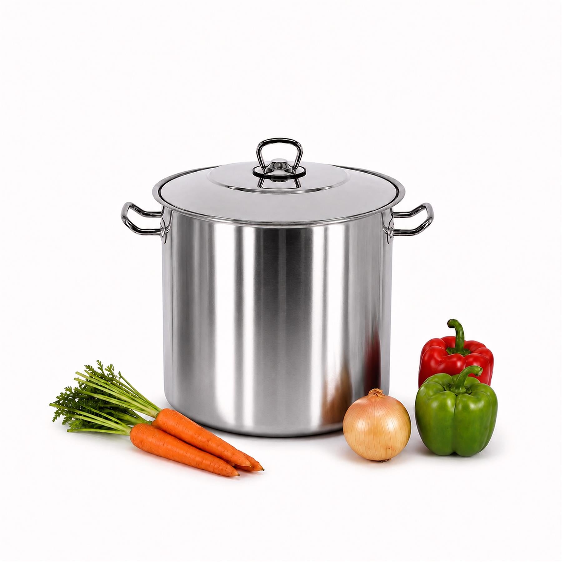 Arian Gastro Stock Pot - 8.5 L