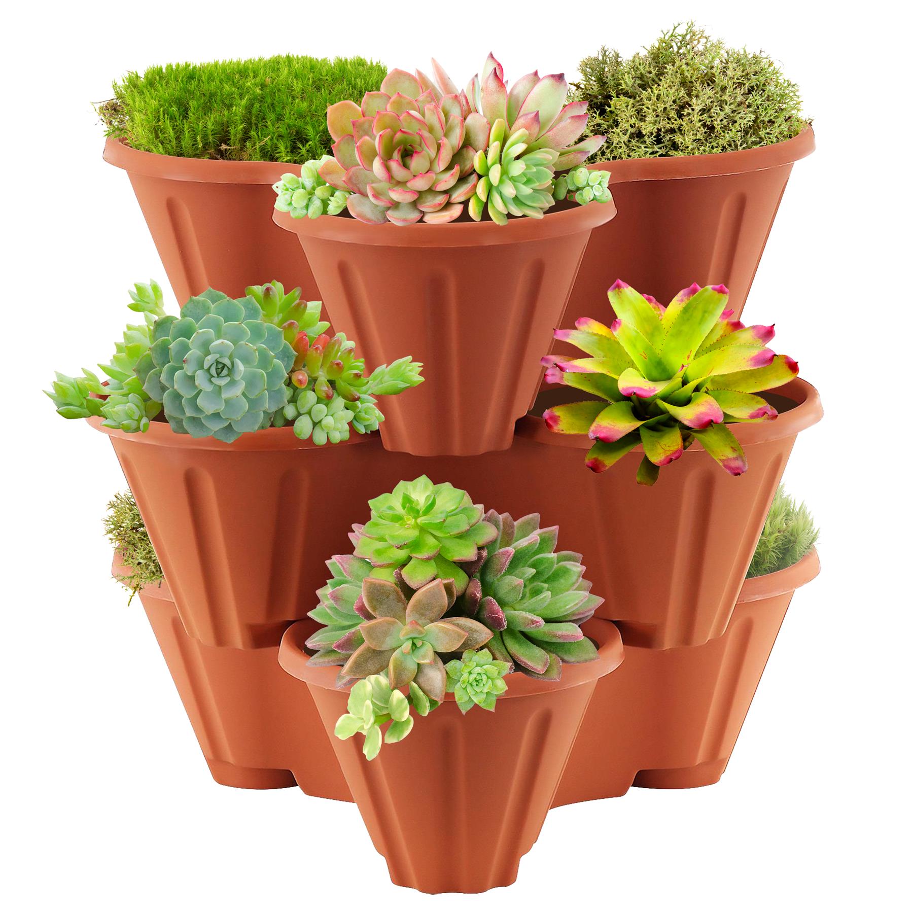 Stackable Strawberry Planter