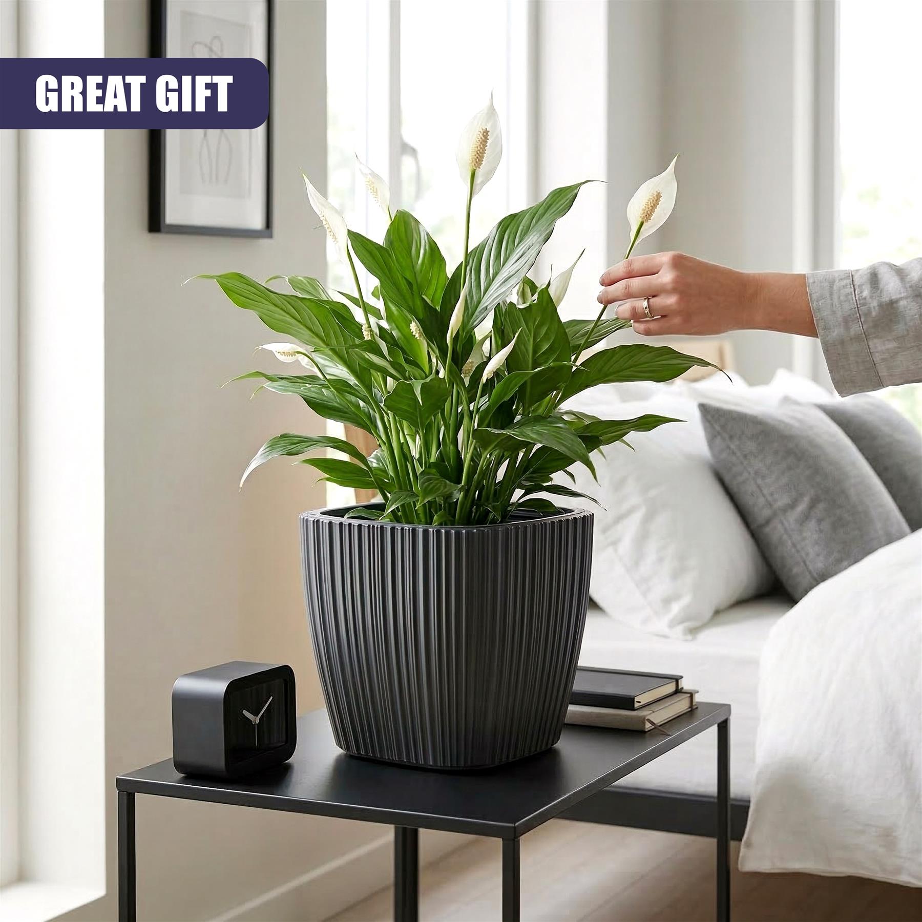 Black Plant Pot with Insert, 29 cm