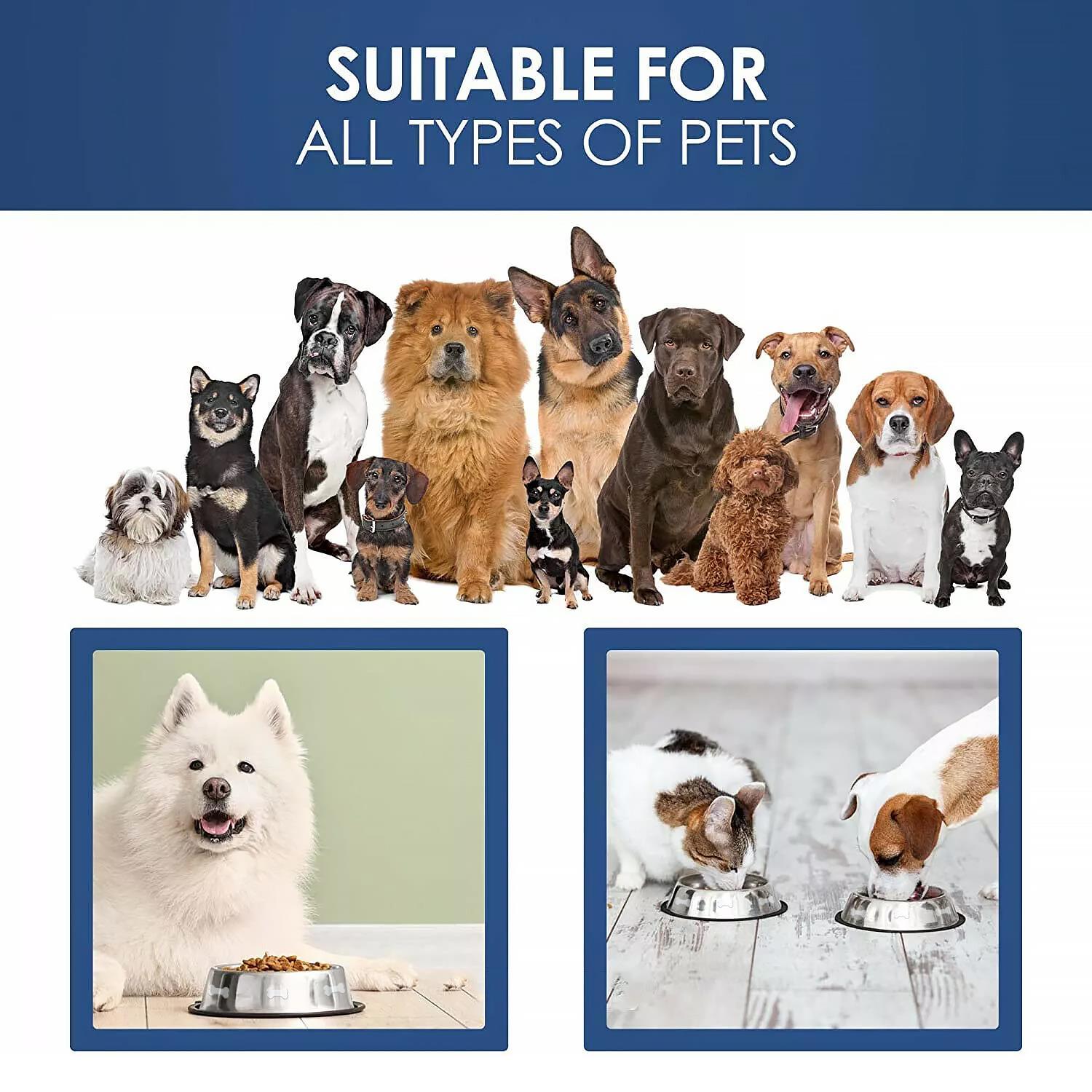 Set of Two Stainless Steel Dog Bowls by GEEZY - The Magic Toy Shop