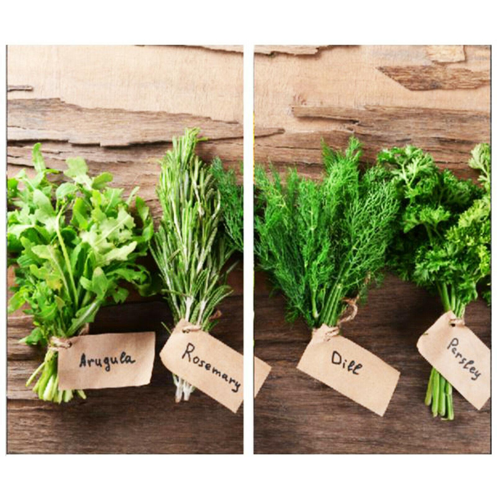 Glass Cutting Boards with Herbs Design by Geezy - The Magic Toy Shop