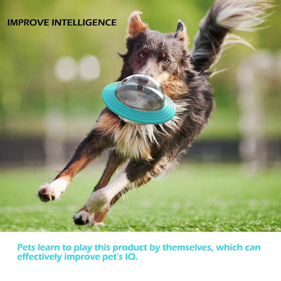 Pet Treat Dispenser Ball by GEEZY - The Magic Toy Shop