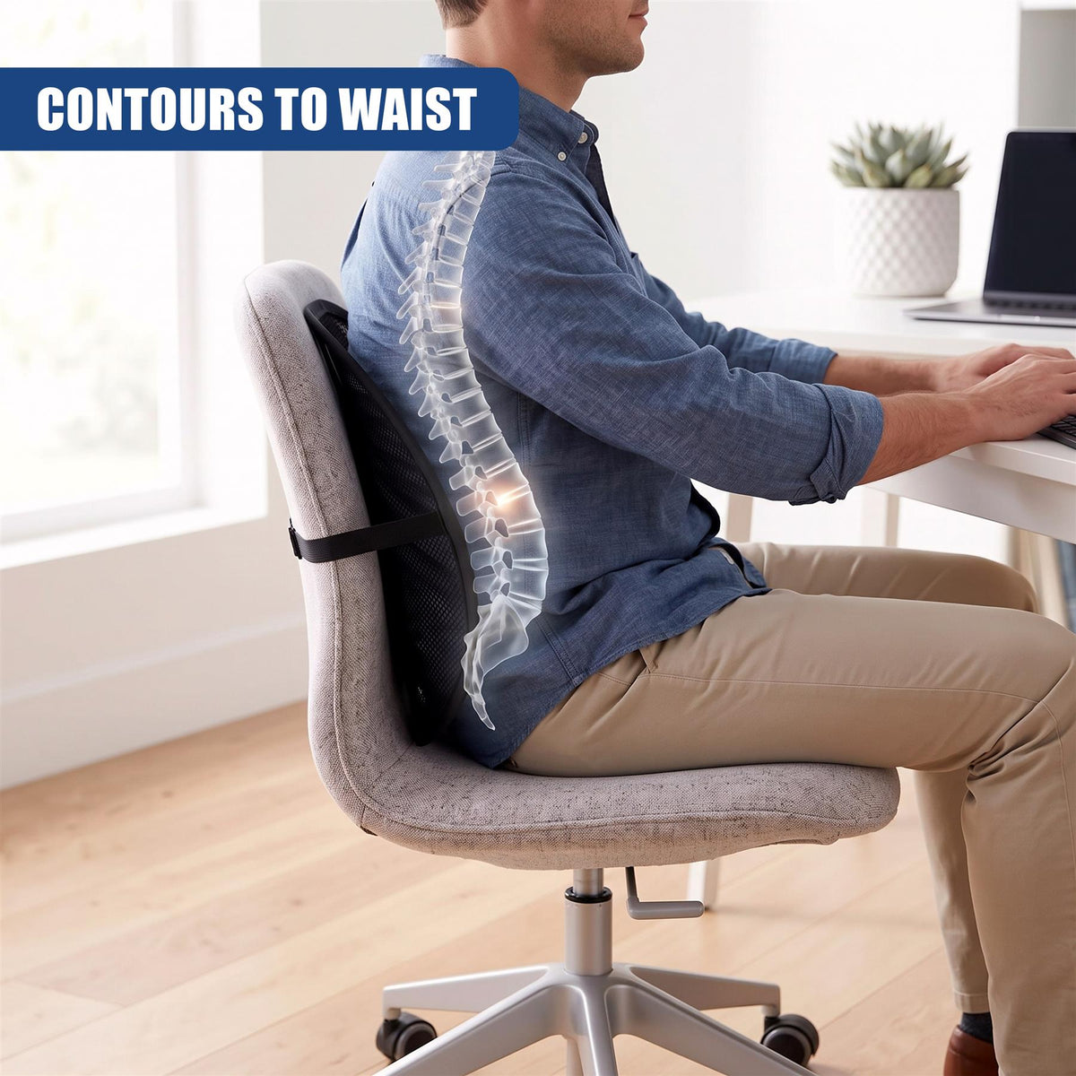 Mesh Back Support