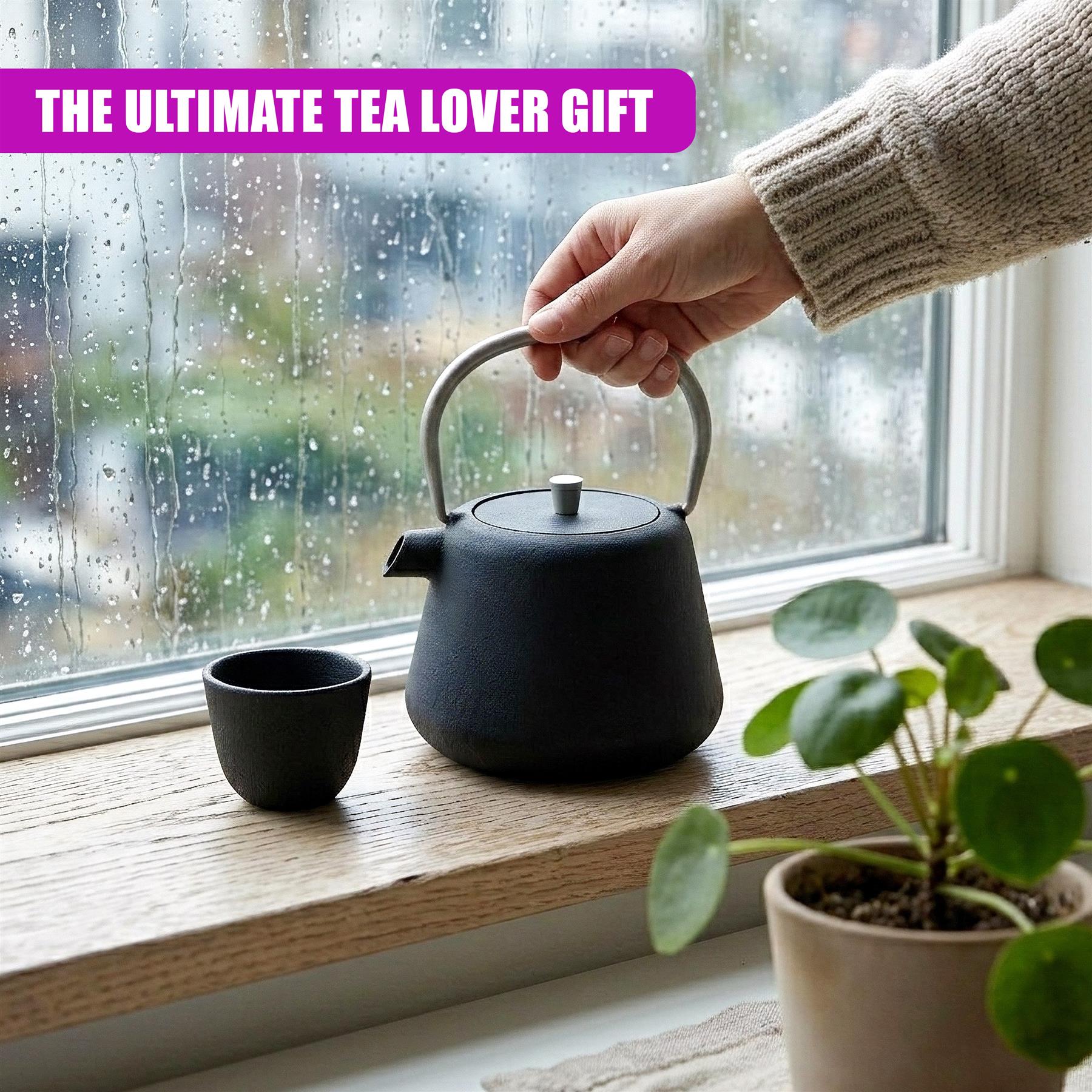 1L Cast Iron Tea Pot with Infuser