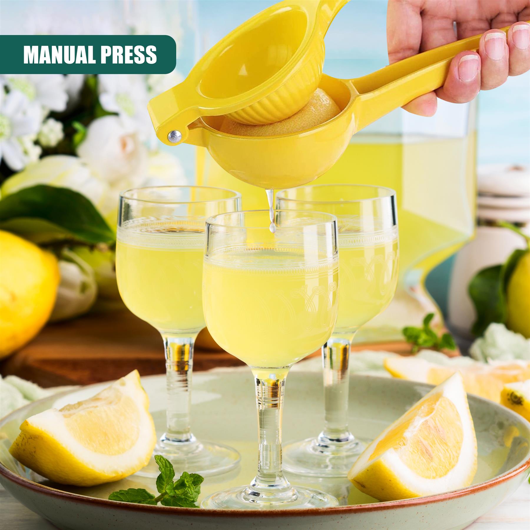 Metal Lemon Squeezer by GEEZY - The Magic Toy Shop