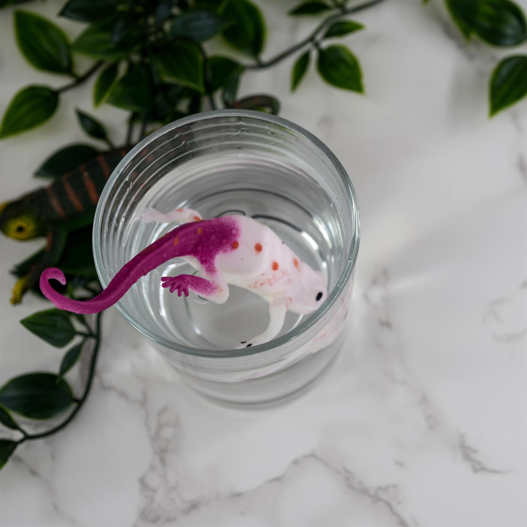 Colour Changing Chameleon Lizard Pocket Money Toy by The Magic Toy Shop - The Magic Toy Shop