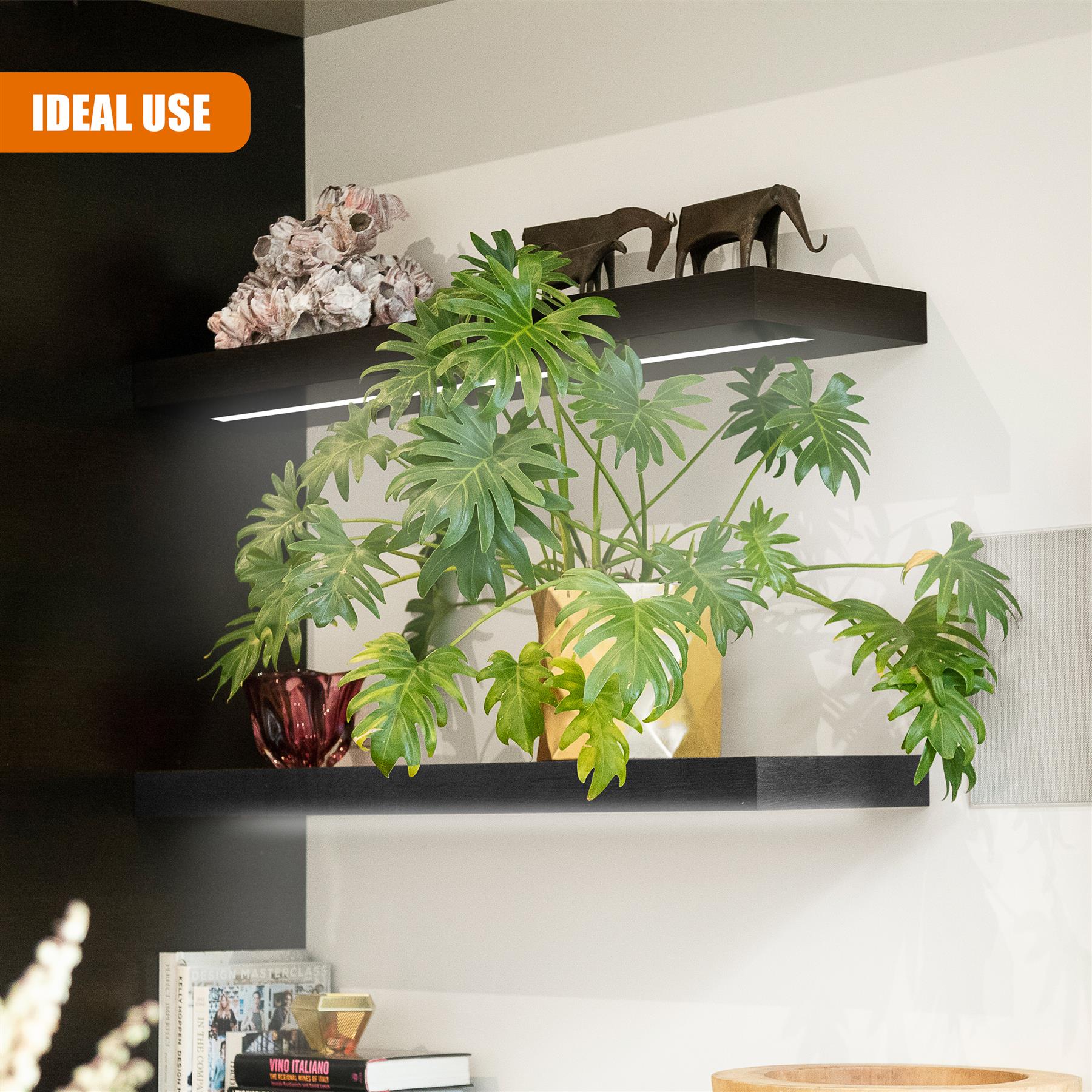 Black Floating Wooden Wall Shelf with LED Lights - 60cm by GEEZY - The Magic Toy Shop