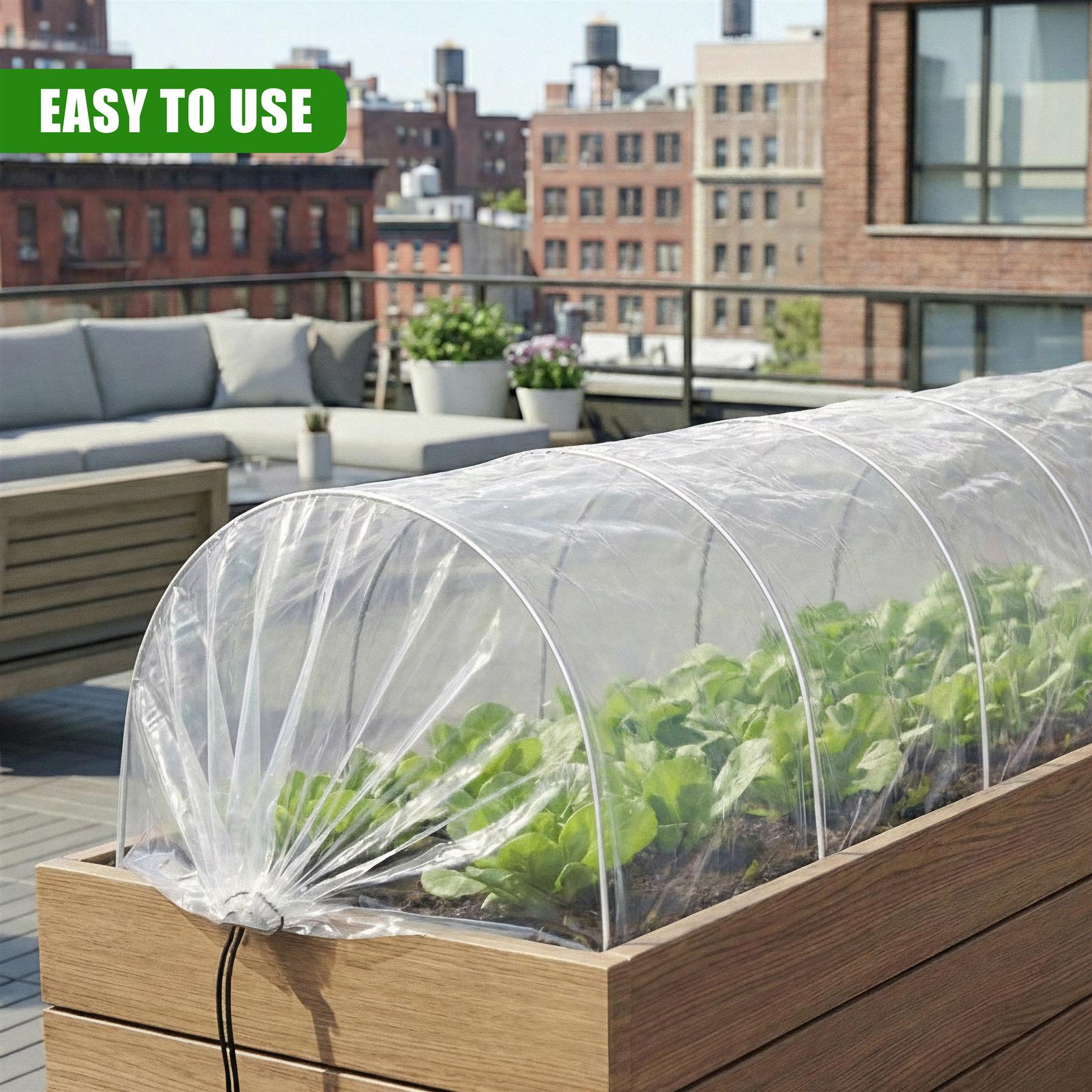 Greenhouse Polytunnel