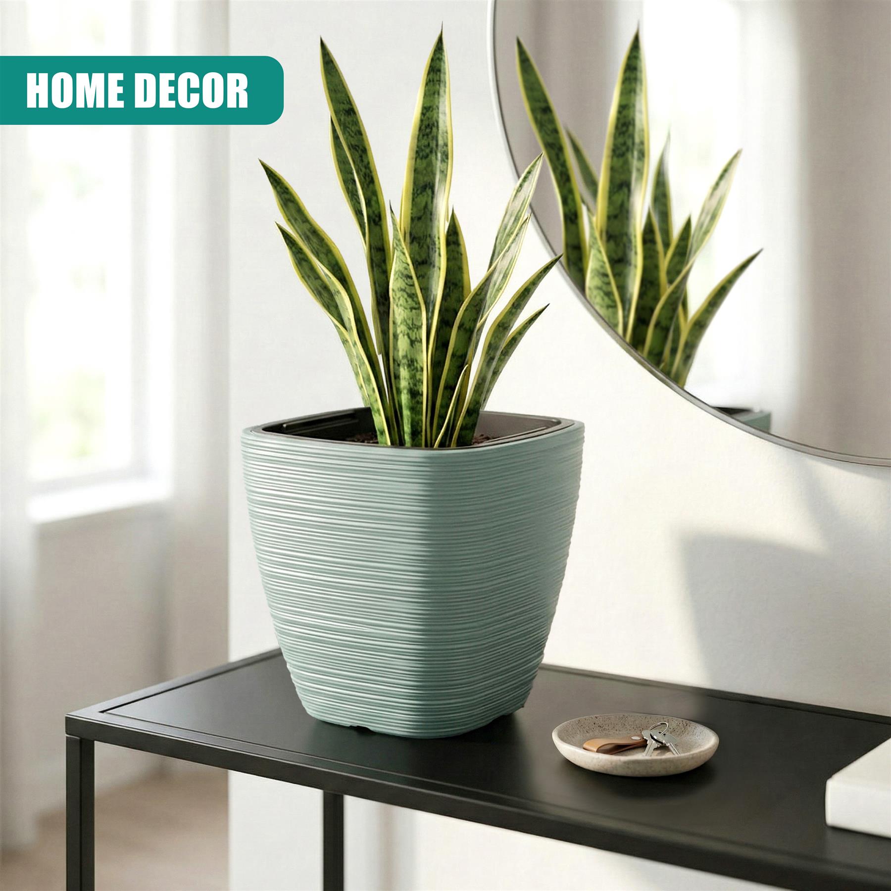 Striped light green pot containing vertical snake plants displayed on a black shelf surface.