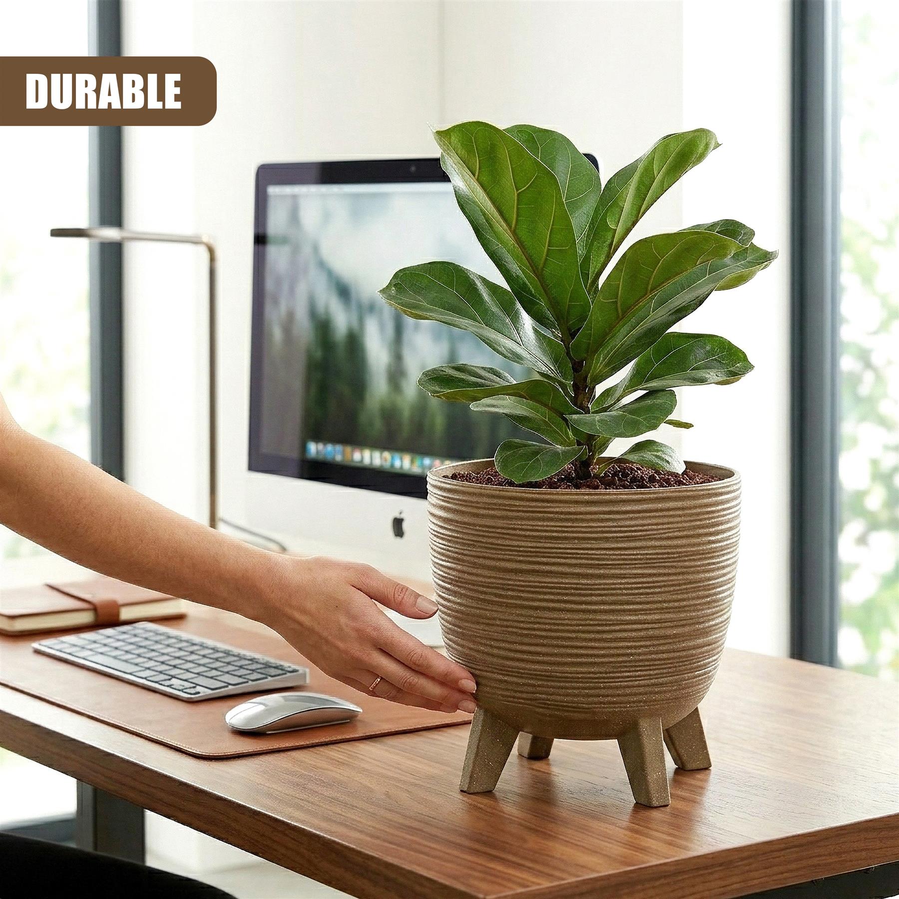 Brown ceramic flower pot with legs holds a large, green indoor plant on a wooden desk.