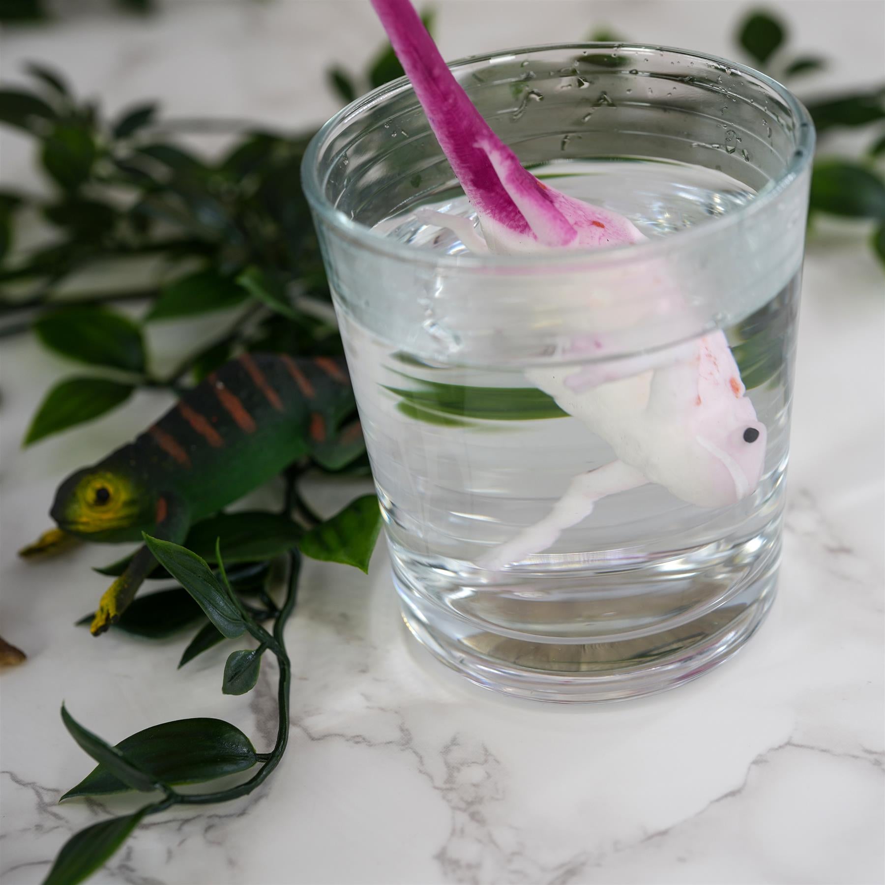 Colour Changing Chameleon Lizard Pocket Money Toy by The Magic Toy Shop - The Magic Toy Shop