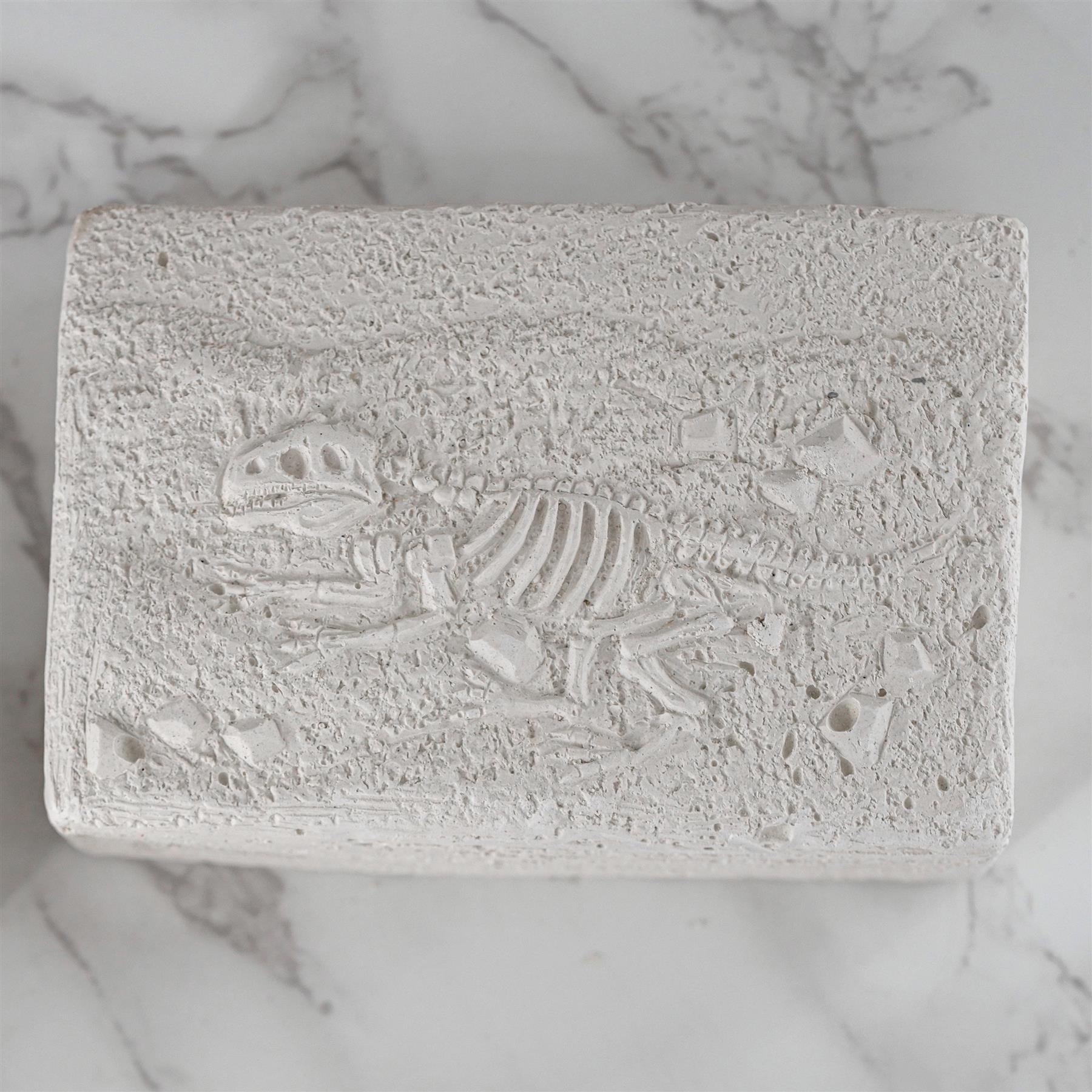 Dinosaur Fossils Digging Kit by The Magic Toy Shop - The Magic Toy Shop