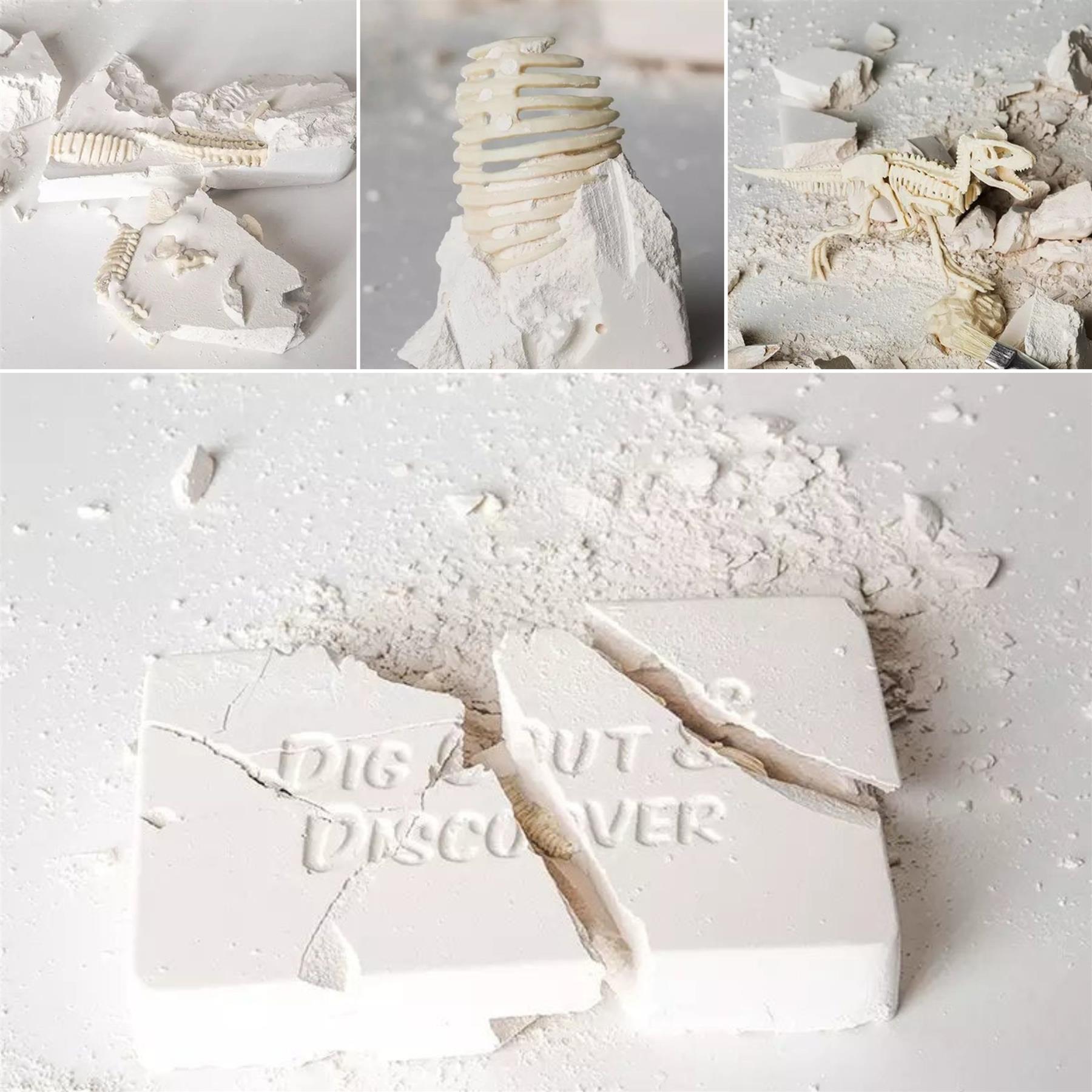 Fossil replicas and blocks of white plaster are shown, suggesting a scientific excavation and modeling kit.