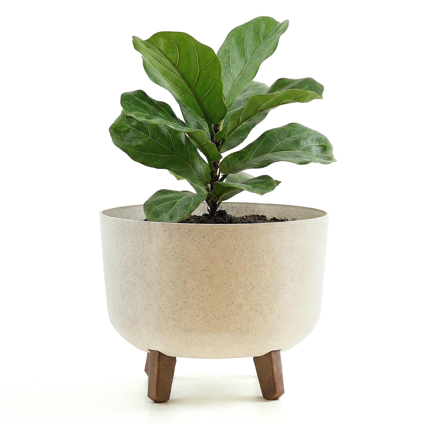 Plant Pot with Legs, 24 cm