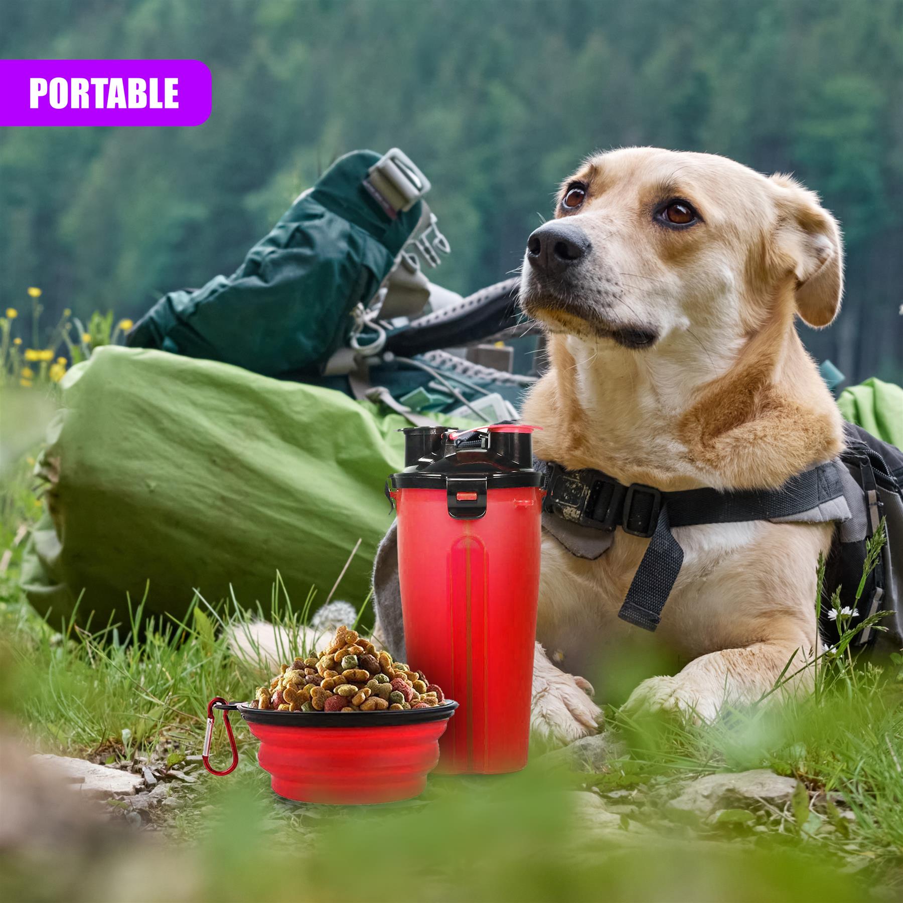 Foldable Bowl and Water Bottle Set for Pets by Geezy - The Magic Toy Shop