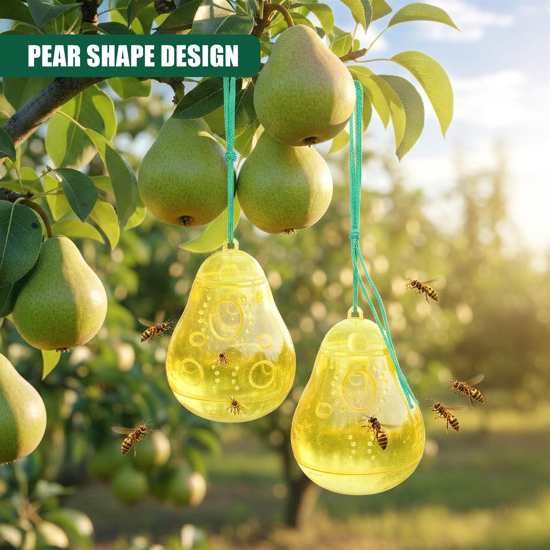 Two yellow, pear-shaped traps hang from green cords among live pears on a tree.