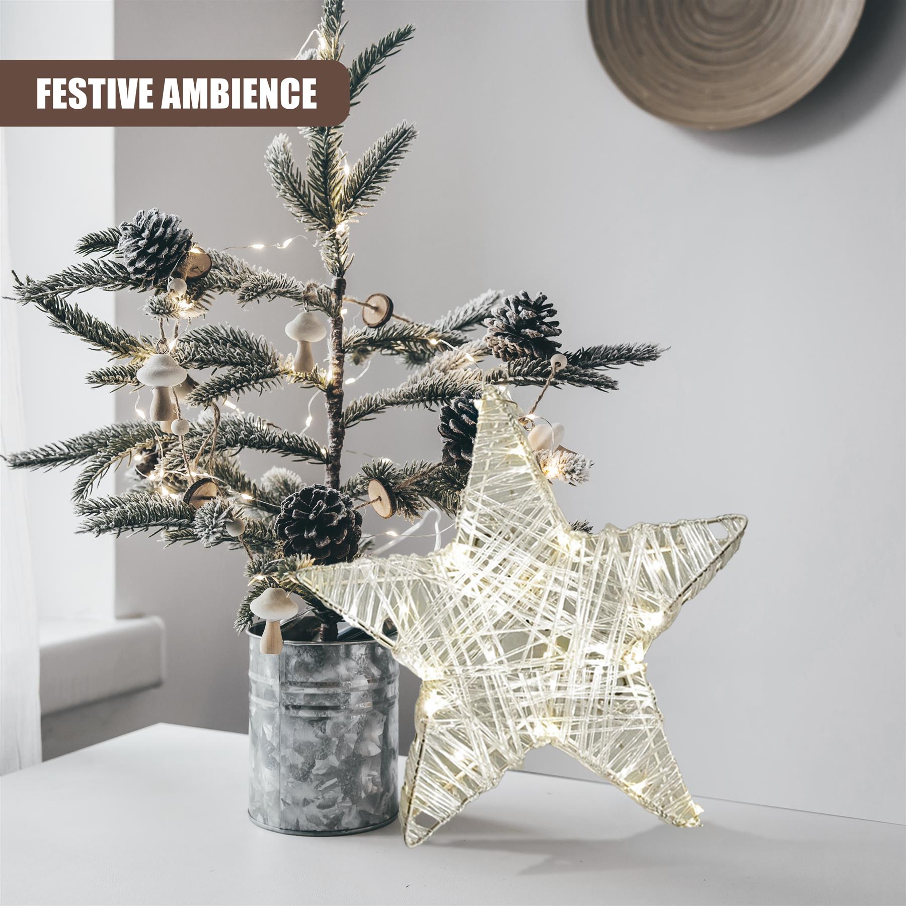 Christmas Star with 30 LED Warm White Lights