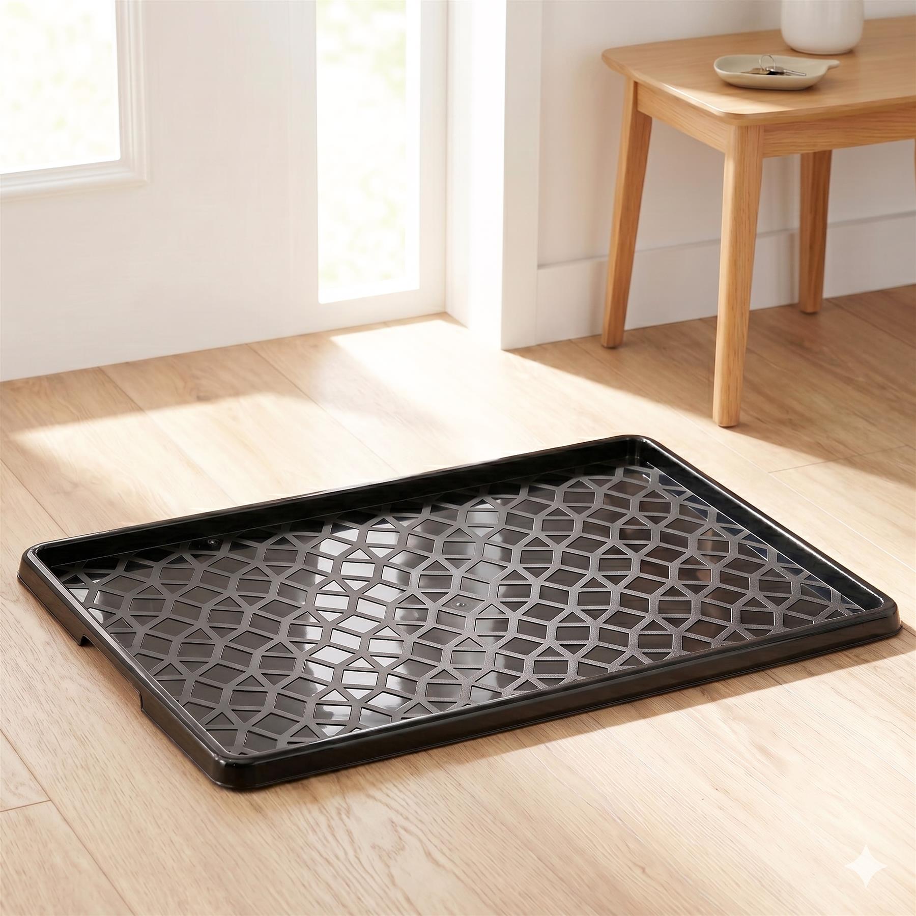 Set of 2 Plastic Shoe Trays