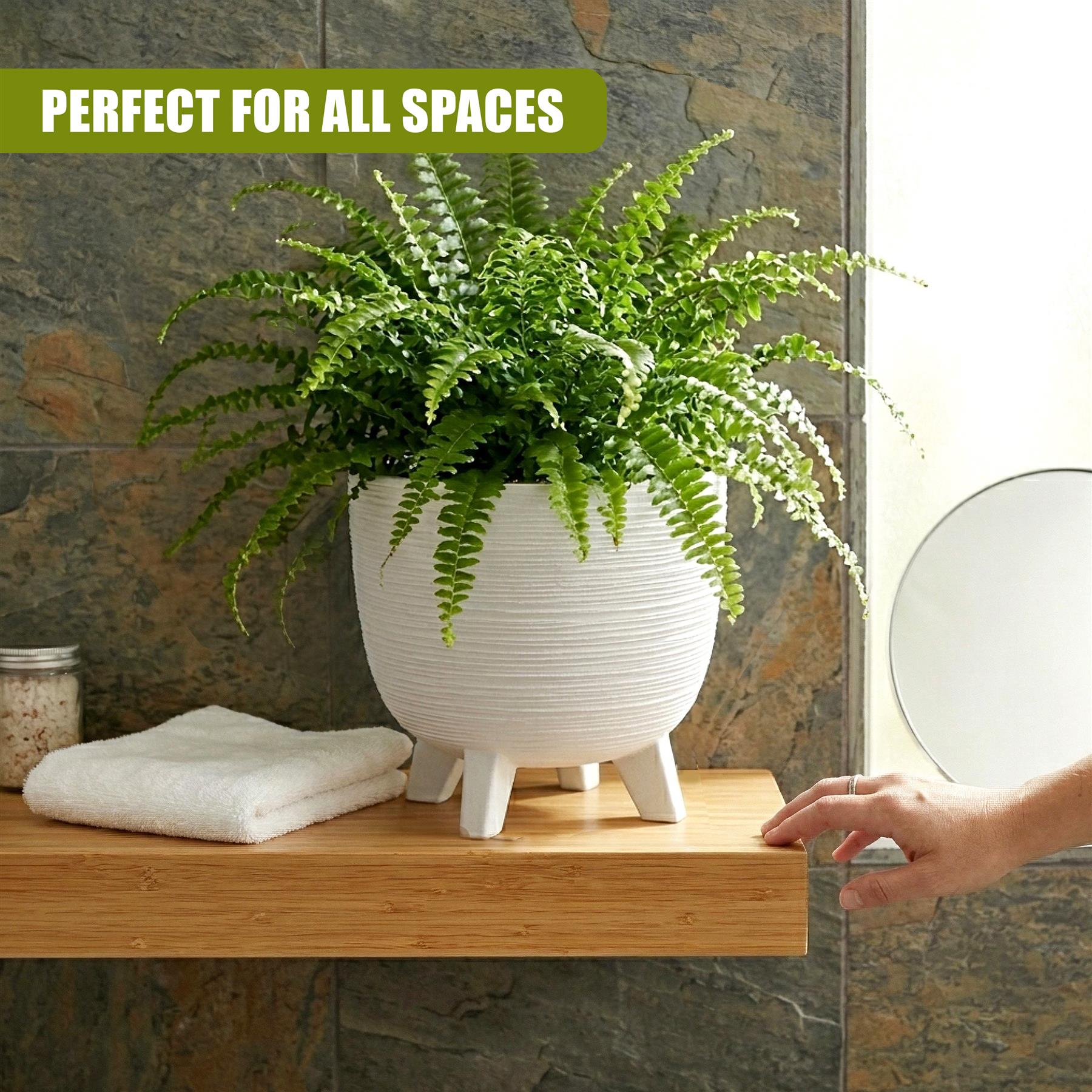 White potted plant with green foliage rests on a wooden surface and decorative white legs.