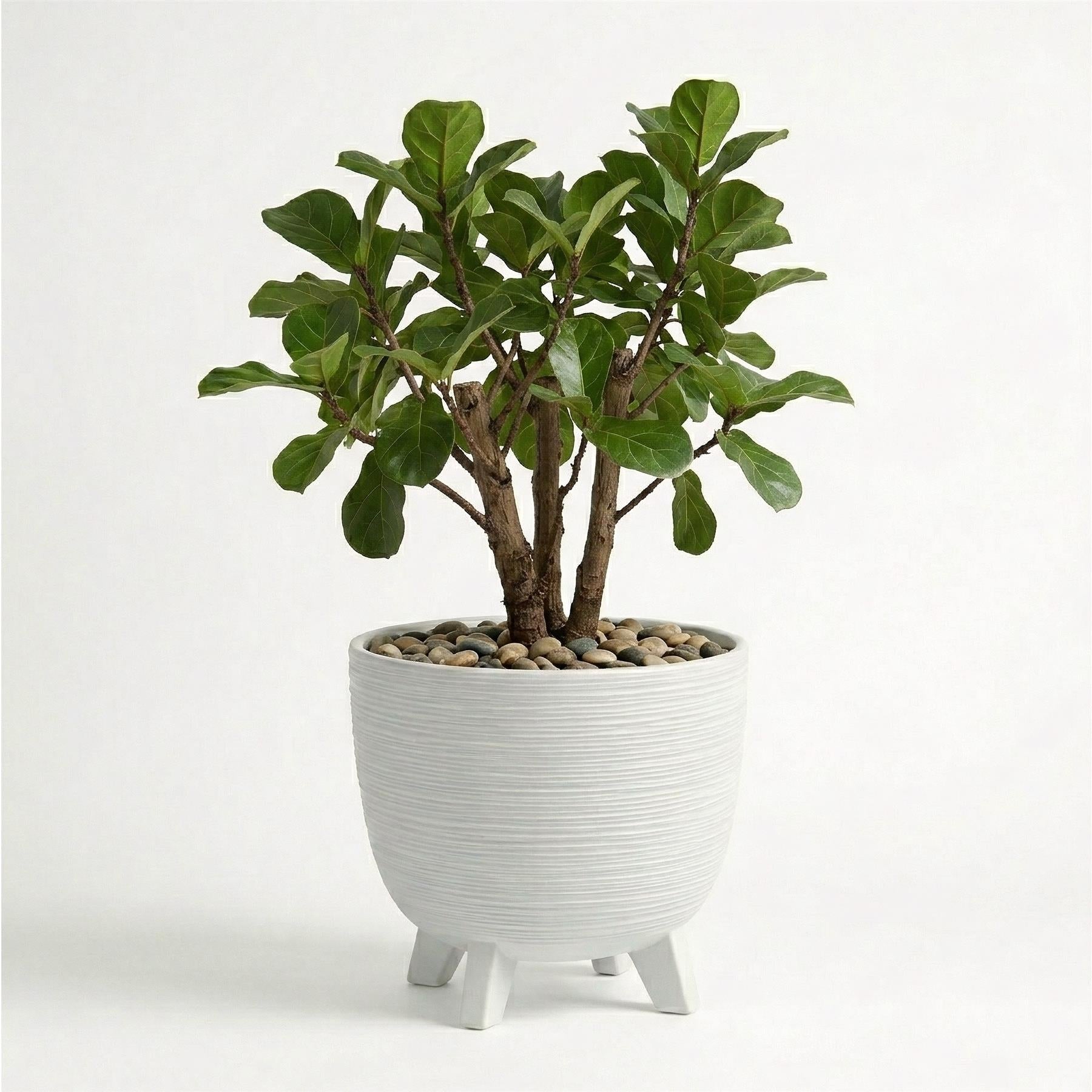 White Flower Pot with Legs, 39.5 cm