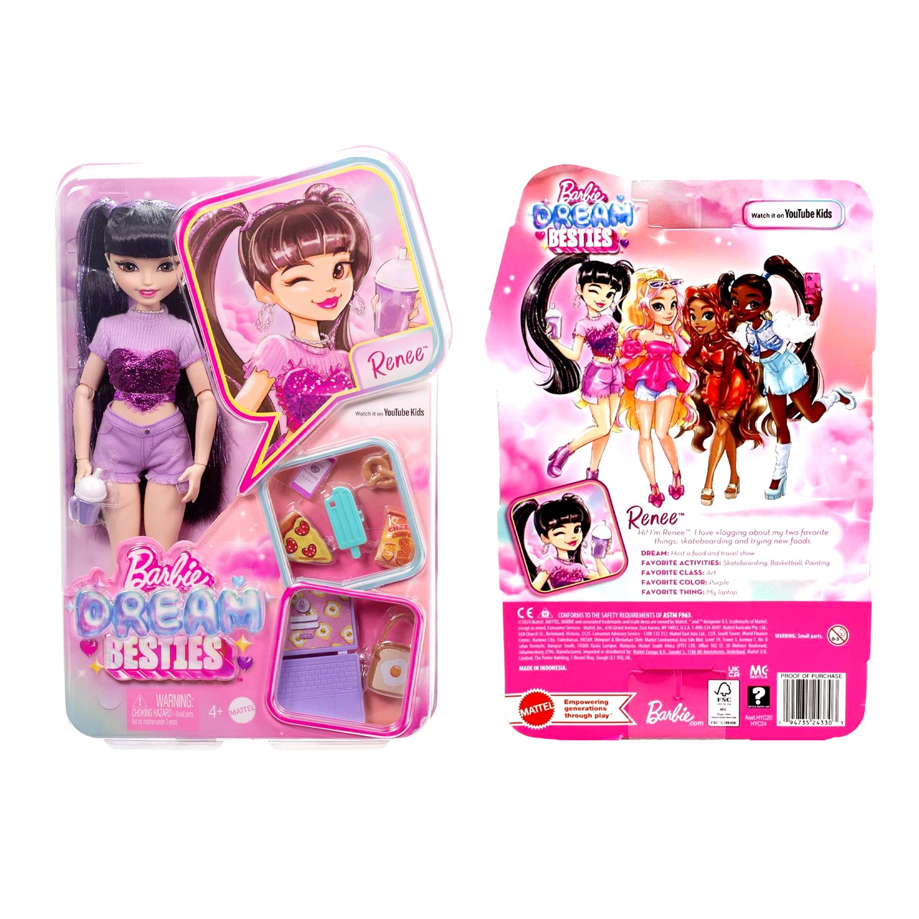 Barbie Dream Besties Renee Doll & Accessories Playset