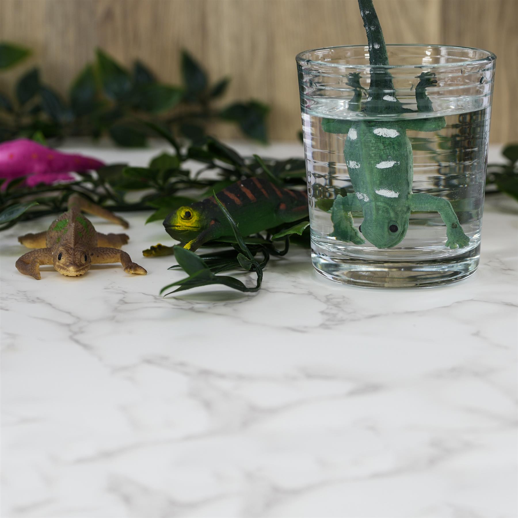 Colour Changing Chameleon Lizard Pocket Money Toy by The Magic Toy Shop - The Magic Toy Shop