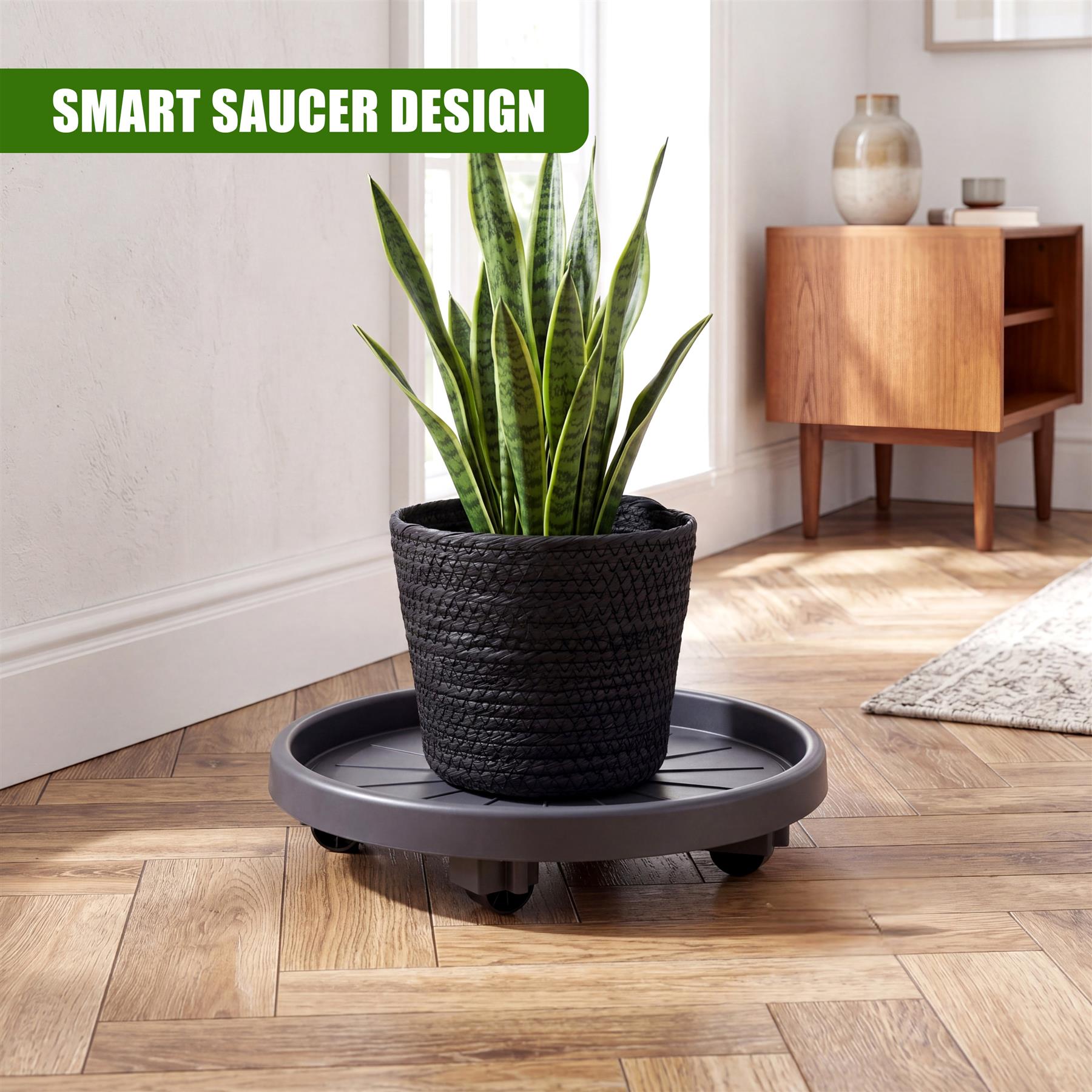 Black potted houseplant displayed on a round, gray caddy with small casters.