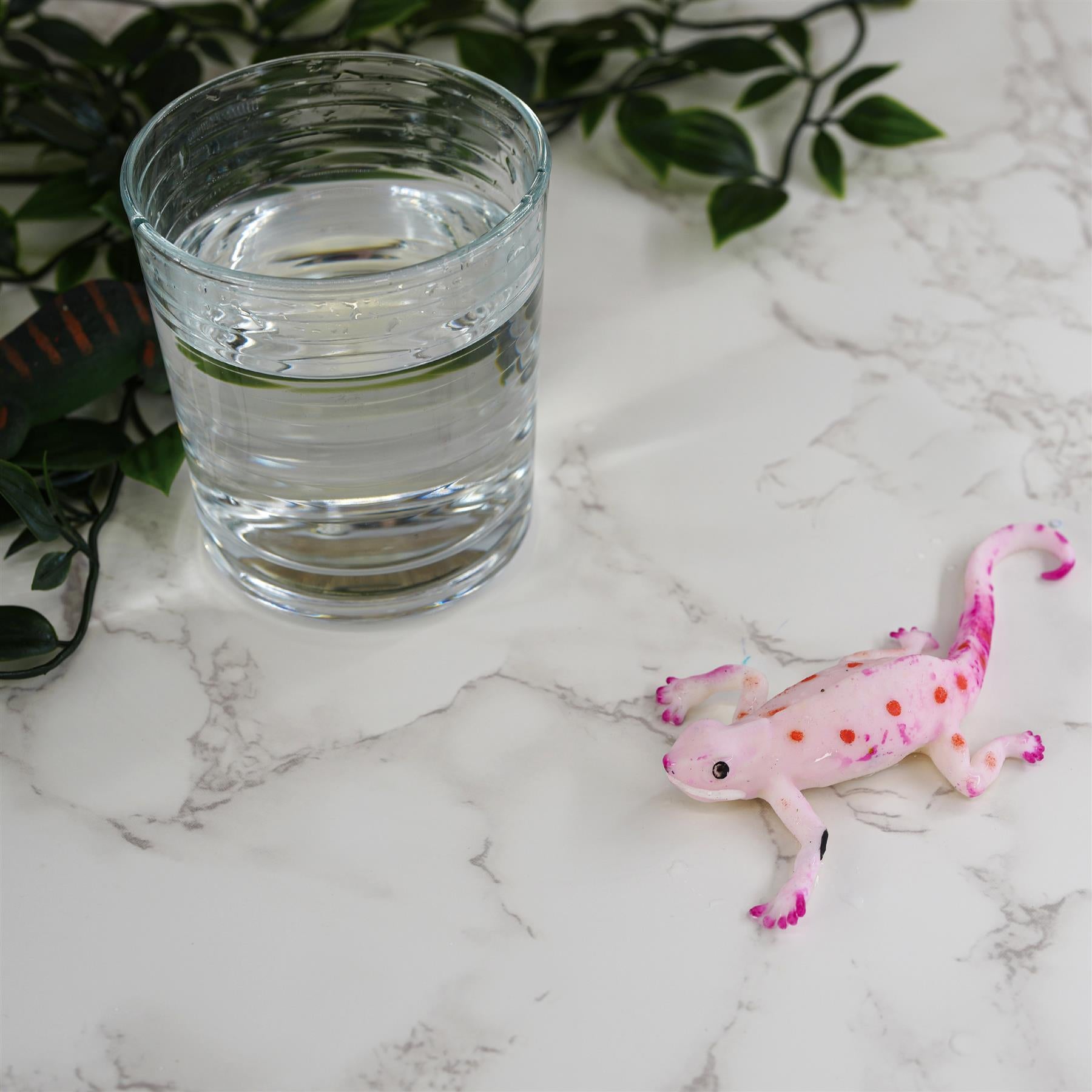 Colour Changing Chameleon Lizard Pocket Money Toy by The Magic Toy Shop - The Magic Toy Shop