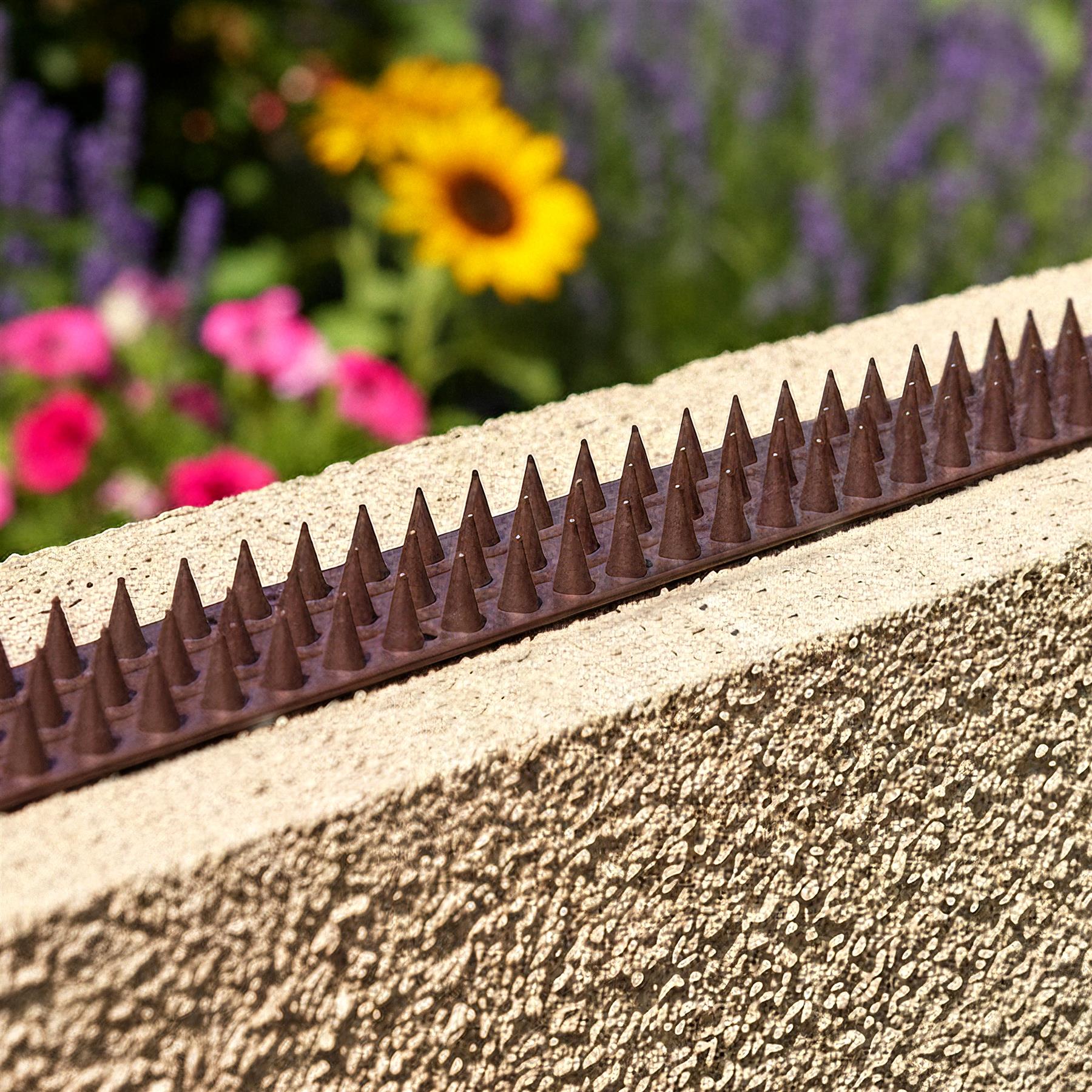 A close-up of a metal strip with numerous sharp, dark brown spikes, laid flat on a rough, beige concrete surface, with a blurred background of flowers and greenery. - The Magic Toy Shop
