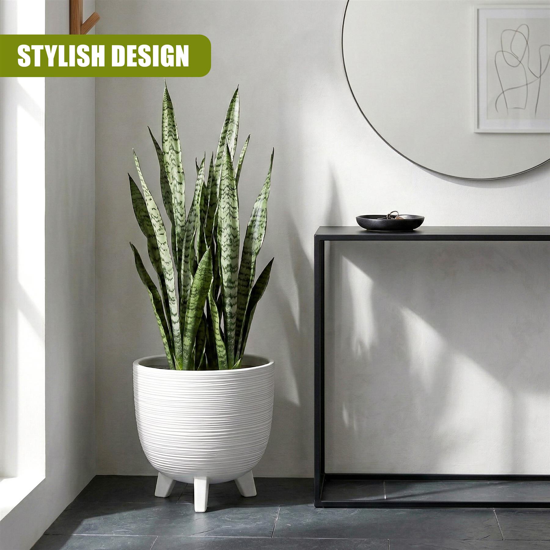 Ribbed white ceramic pot with legs containing a tall, green snake plant.