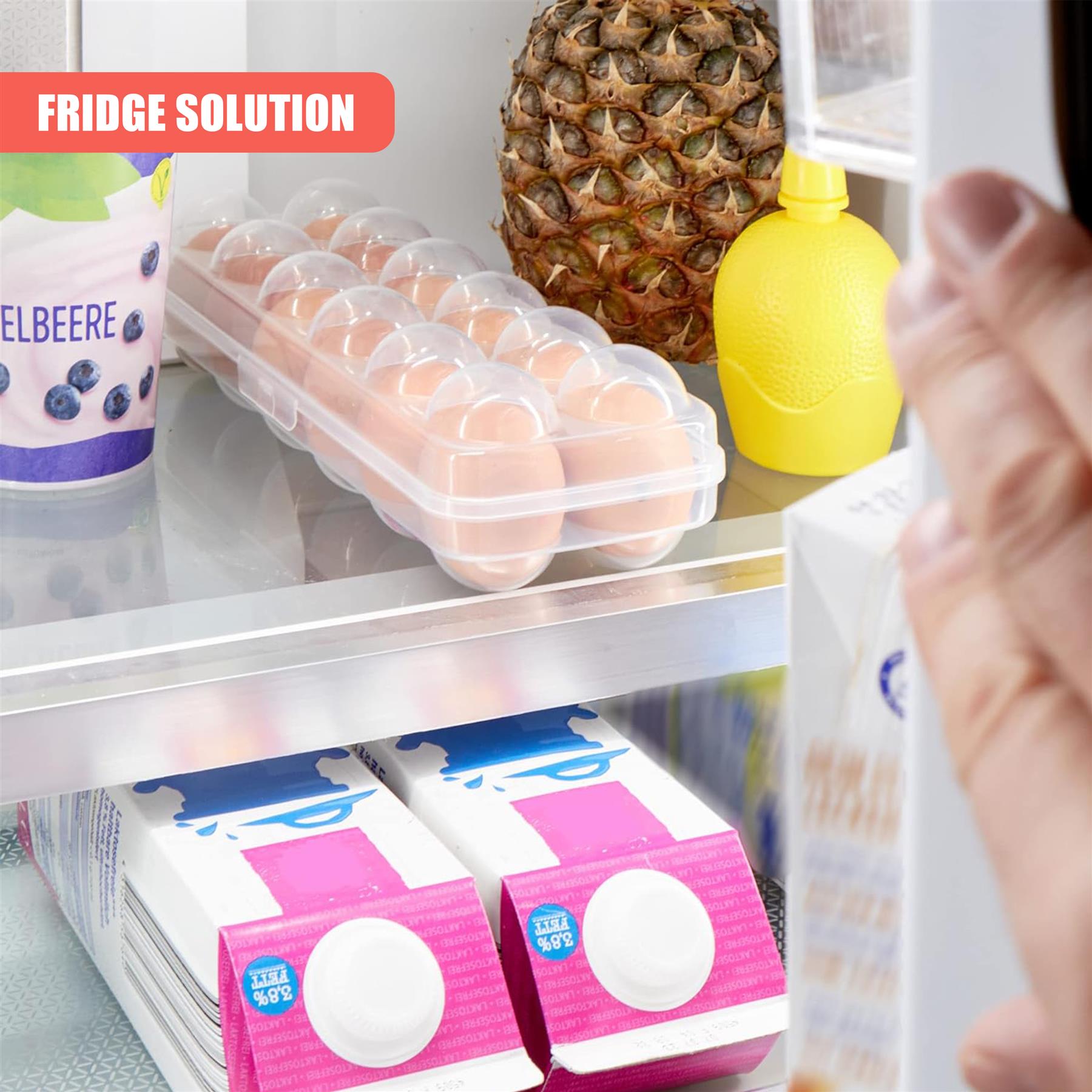 12 Eggs Holder With Lid by GEEZY - The Magic Toy Shop