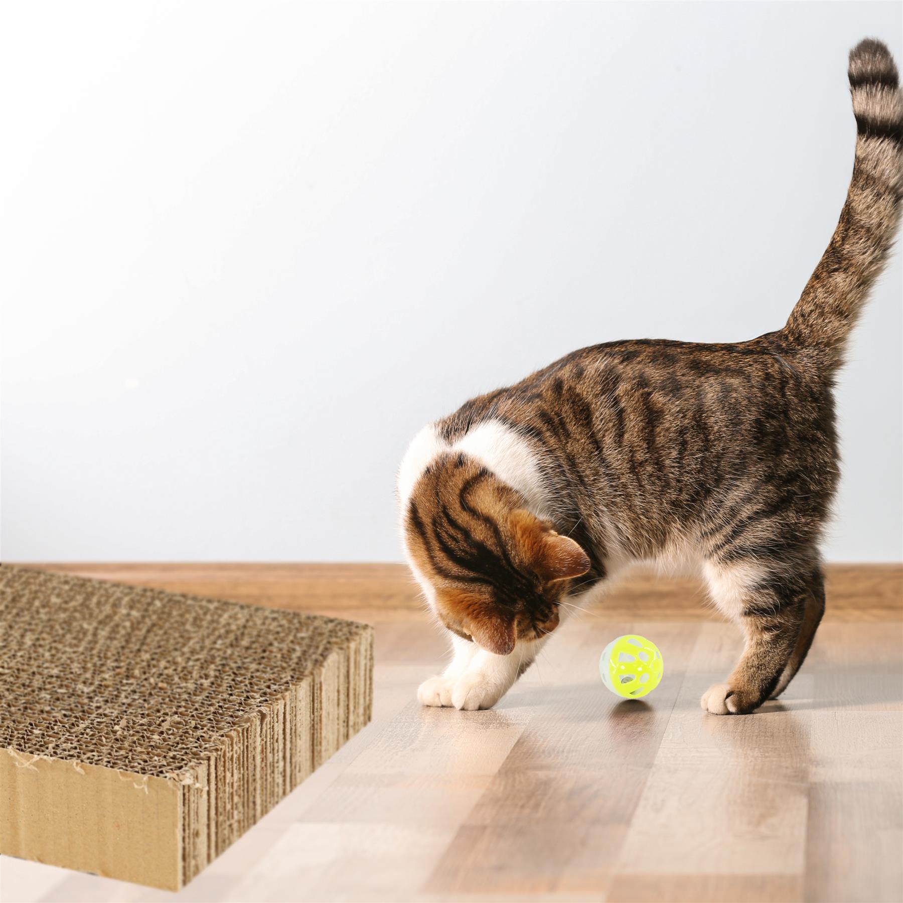 Cat Box Scratching Pad With Catnip & Toy Ball by GEEZY - The Magic Toy Shop