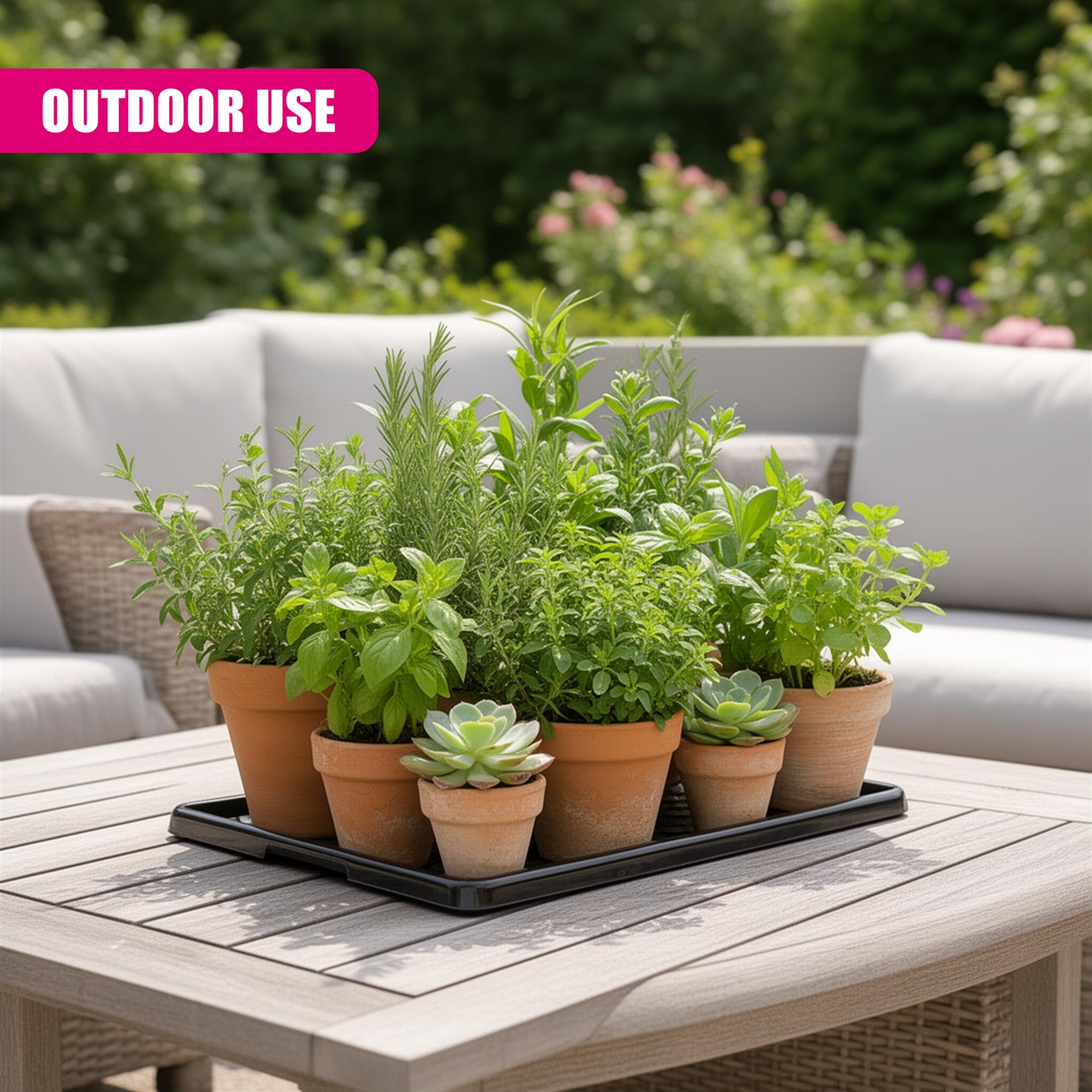 Set of 2 Plastic Shoe Trays