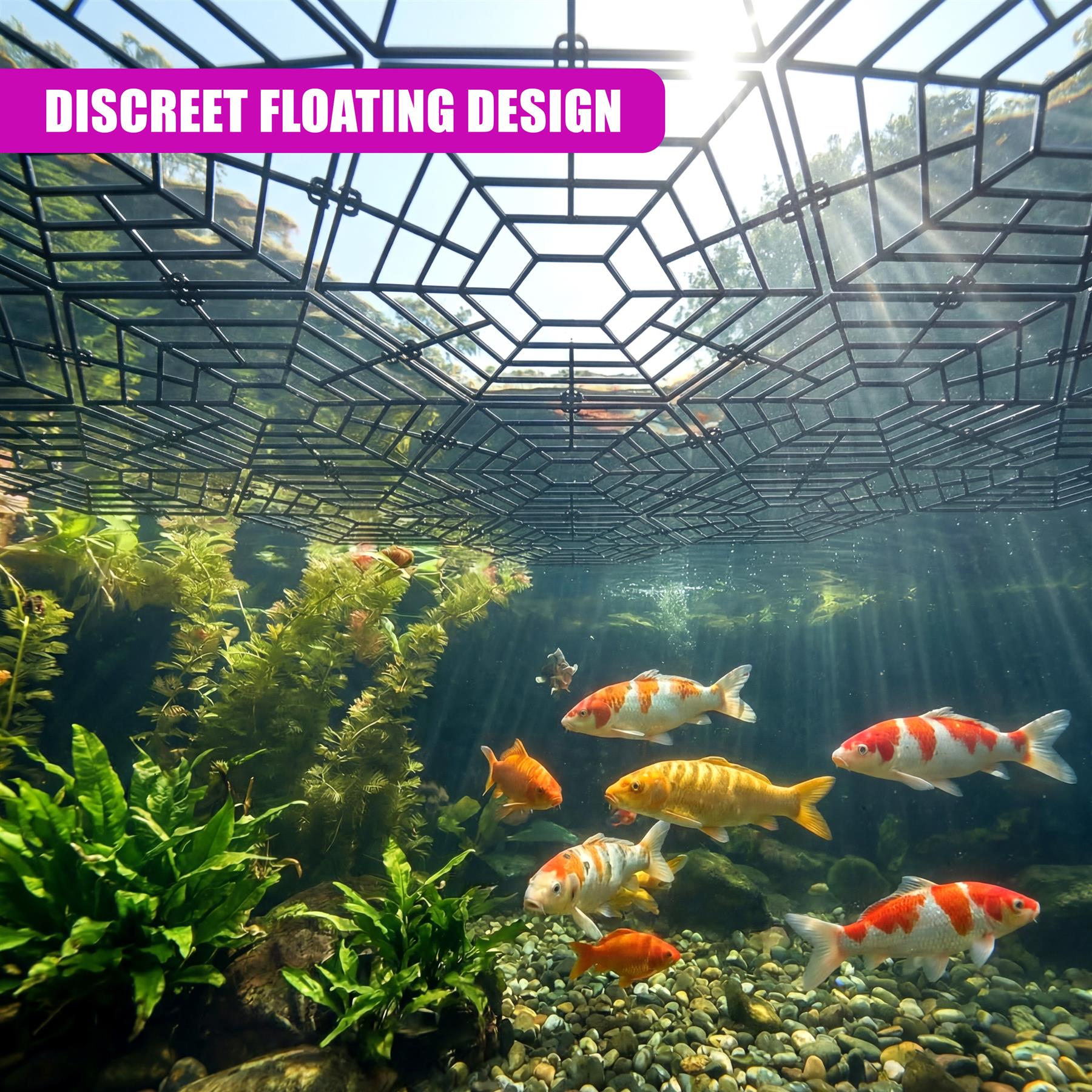 A hexagonal mesh structure hangs over fish and green aquatic plants in a sunlit pond.