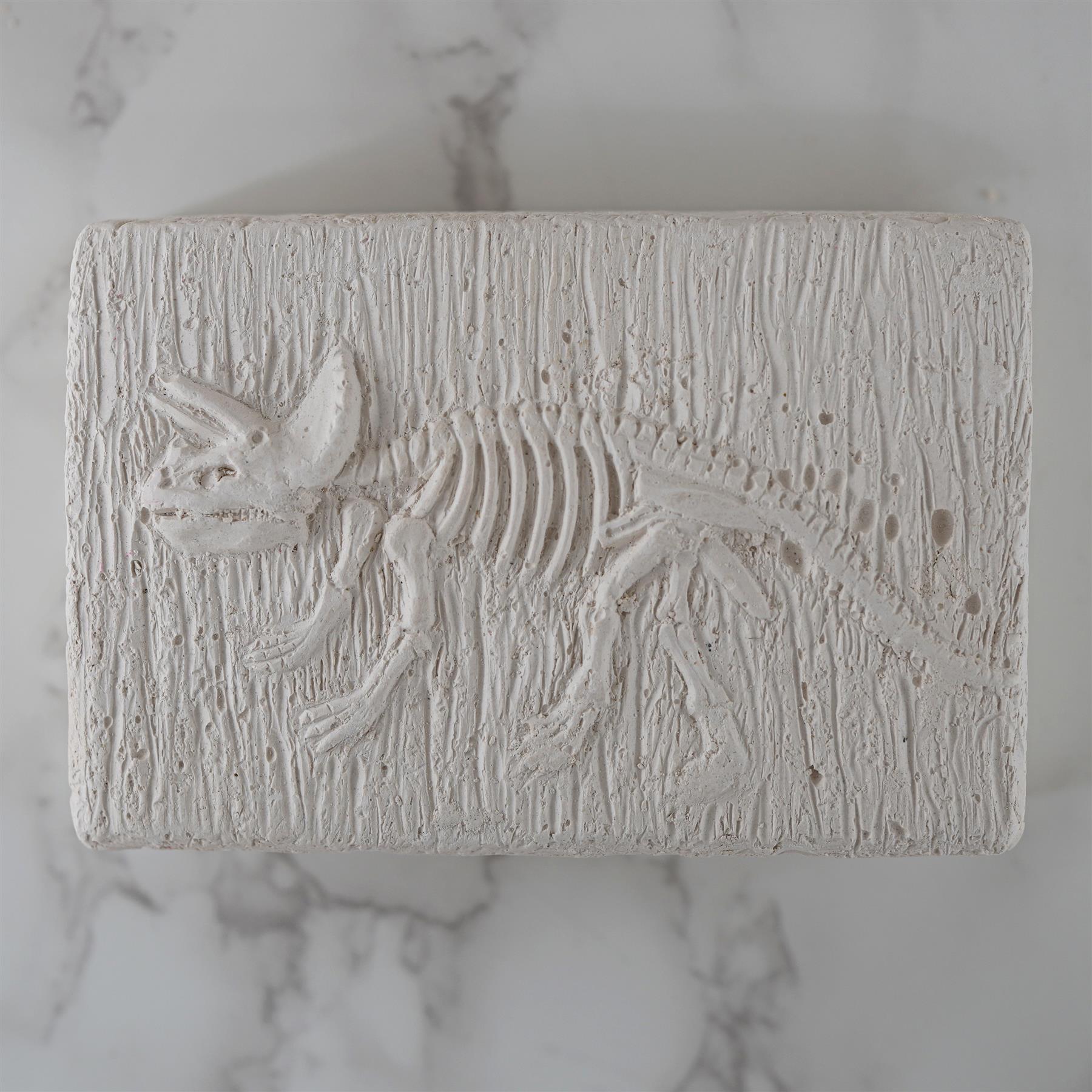 Dinosaur Fossils Digging Kit by The Magic Toy Shop - The Magic Toy Shop