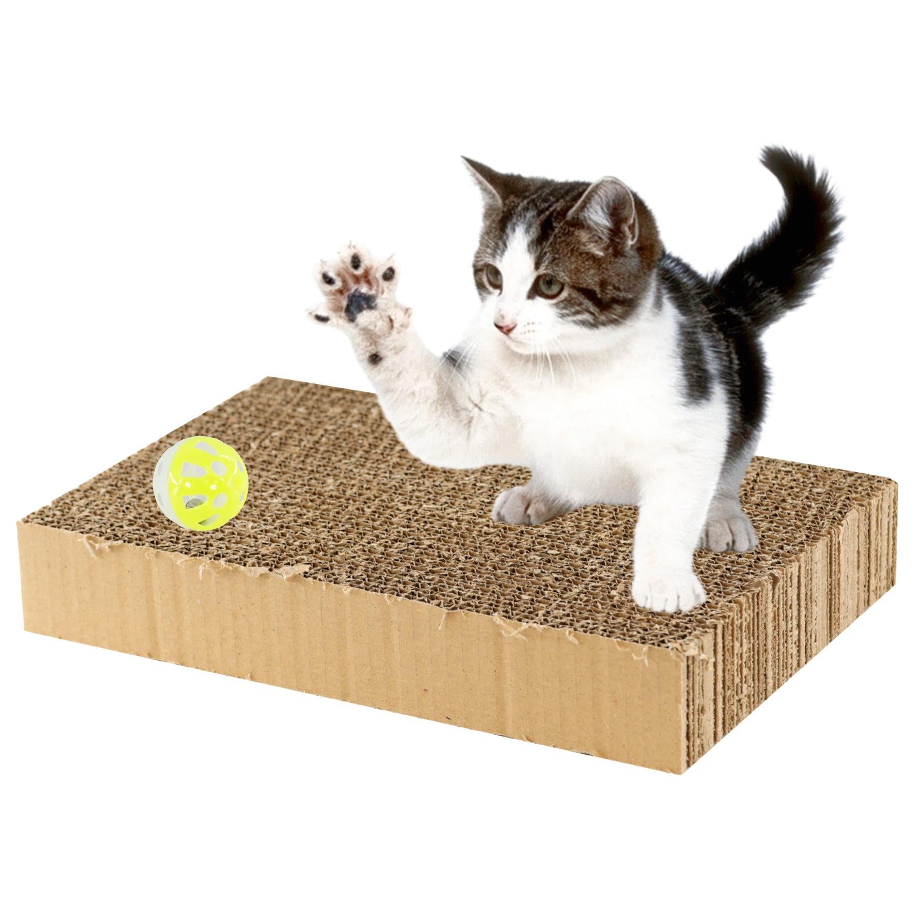 Cat Box Scratching Pad With Catnip & Toy Ball by GEEZY - The Magic Toy Shop
