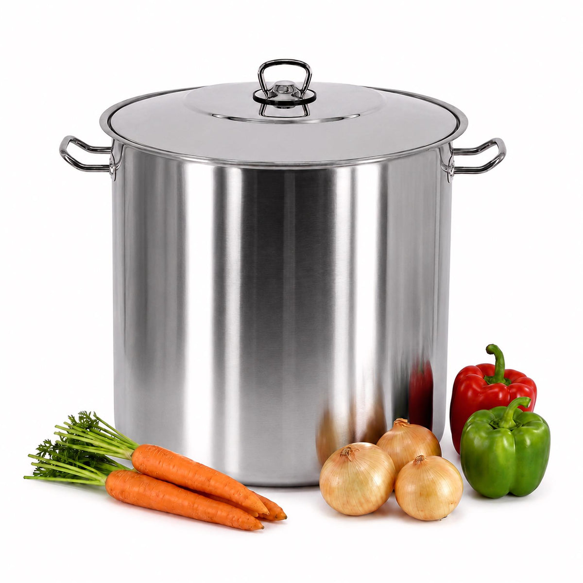 Arian Gastro Stock Pot - 17 L