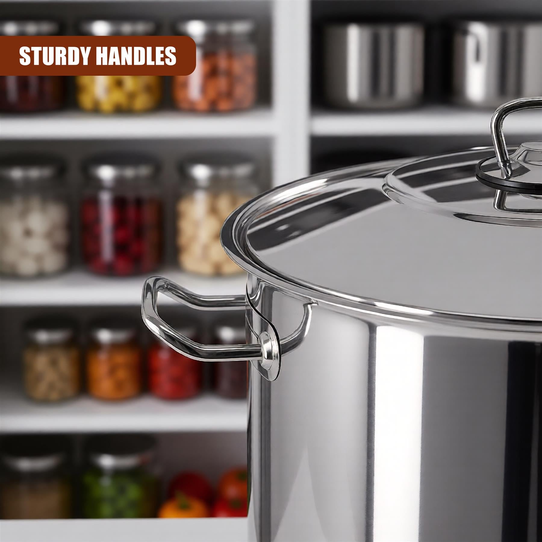 Stainless steel stock pot featuring a removable lid and sturdy curved handles.